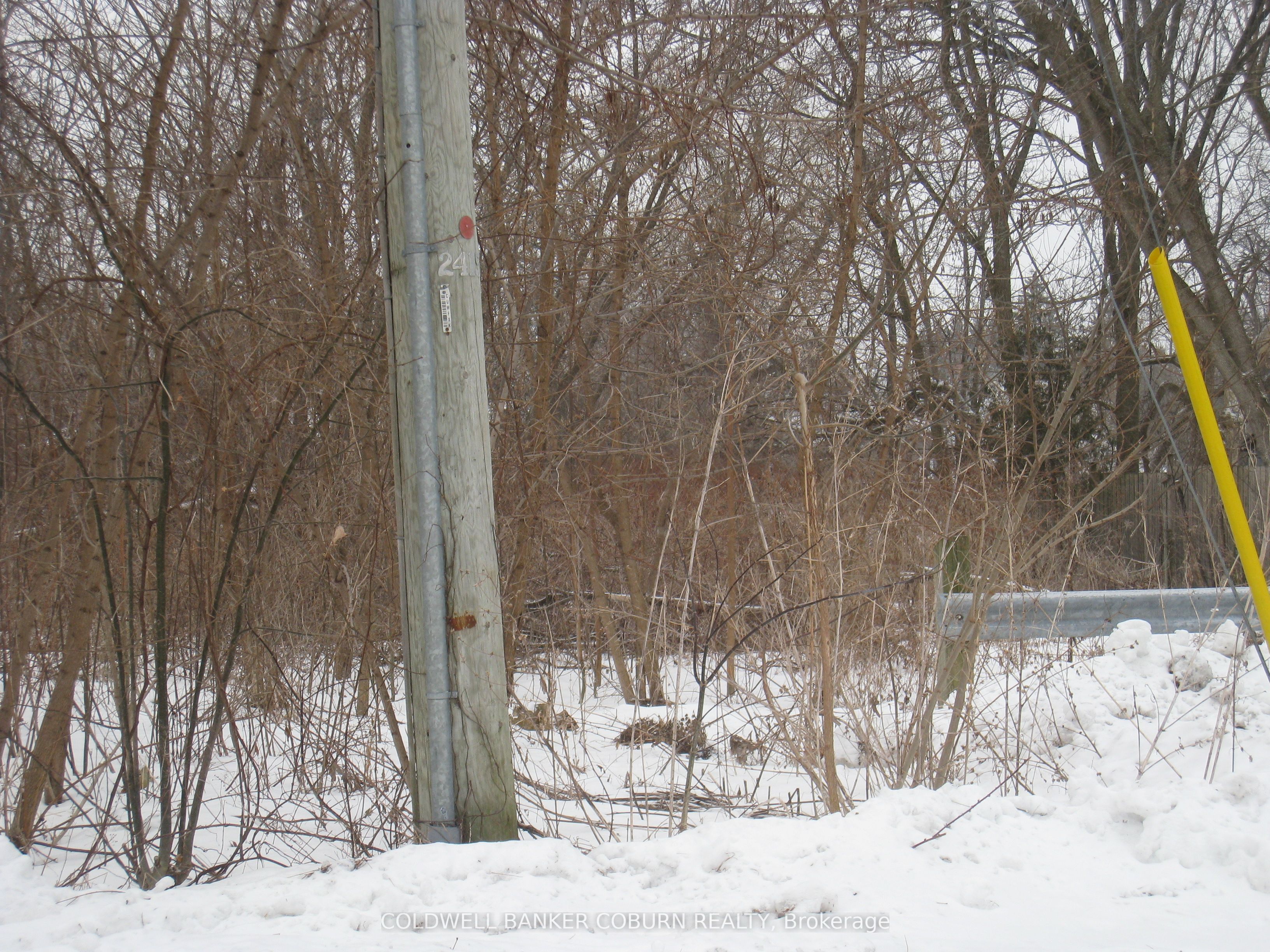 Ptl16 Harvey Street Property Photo 1