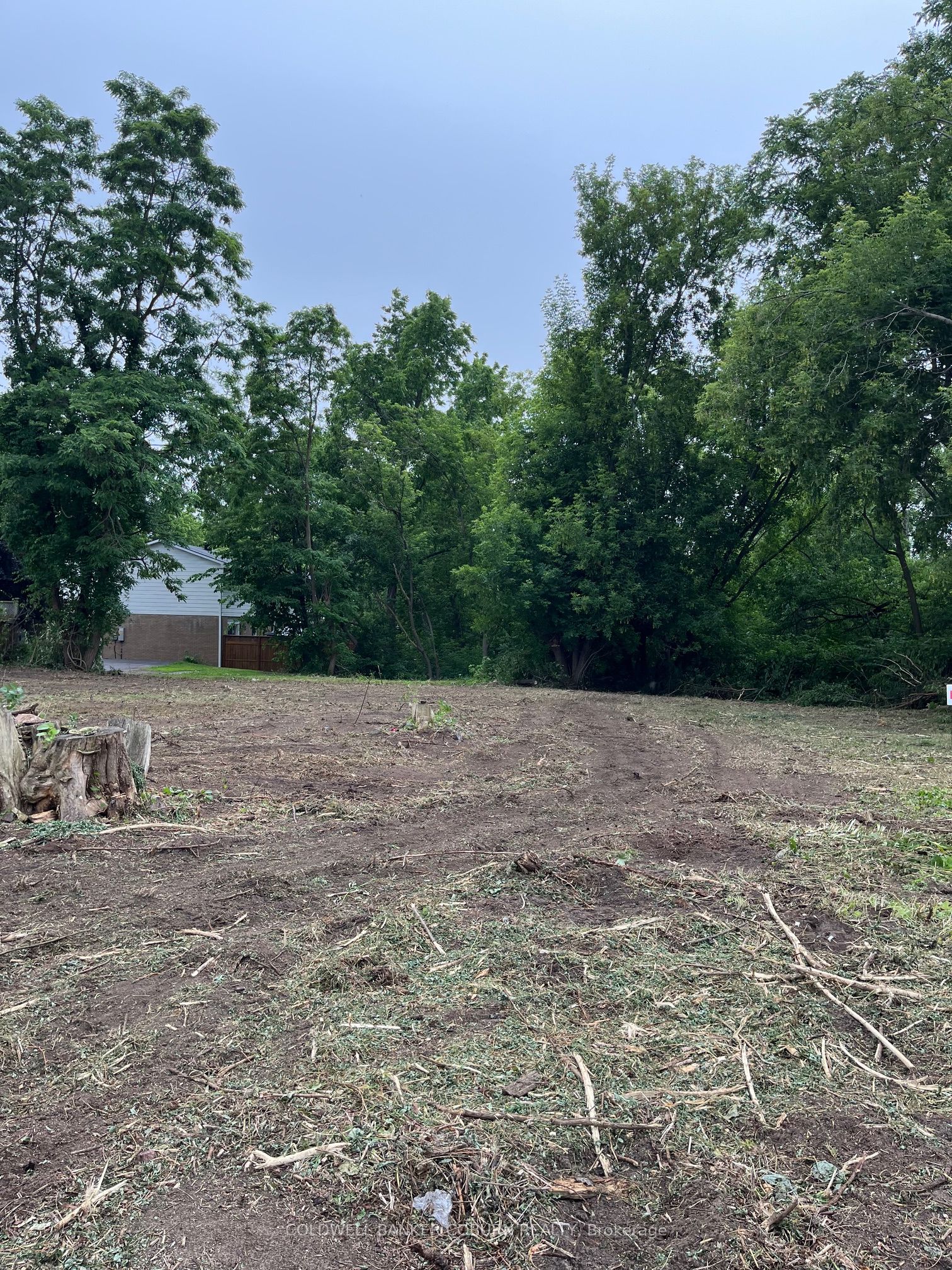 Ptl16 Harvey Street Property Photo