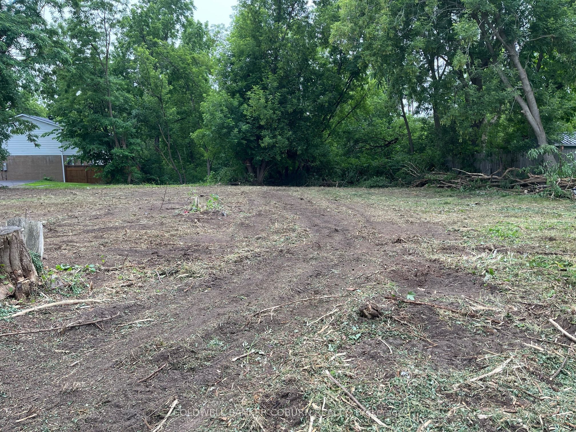 Ptl16 Harvey Street Property Photo 3