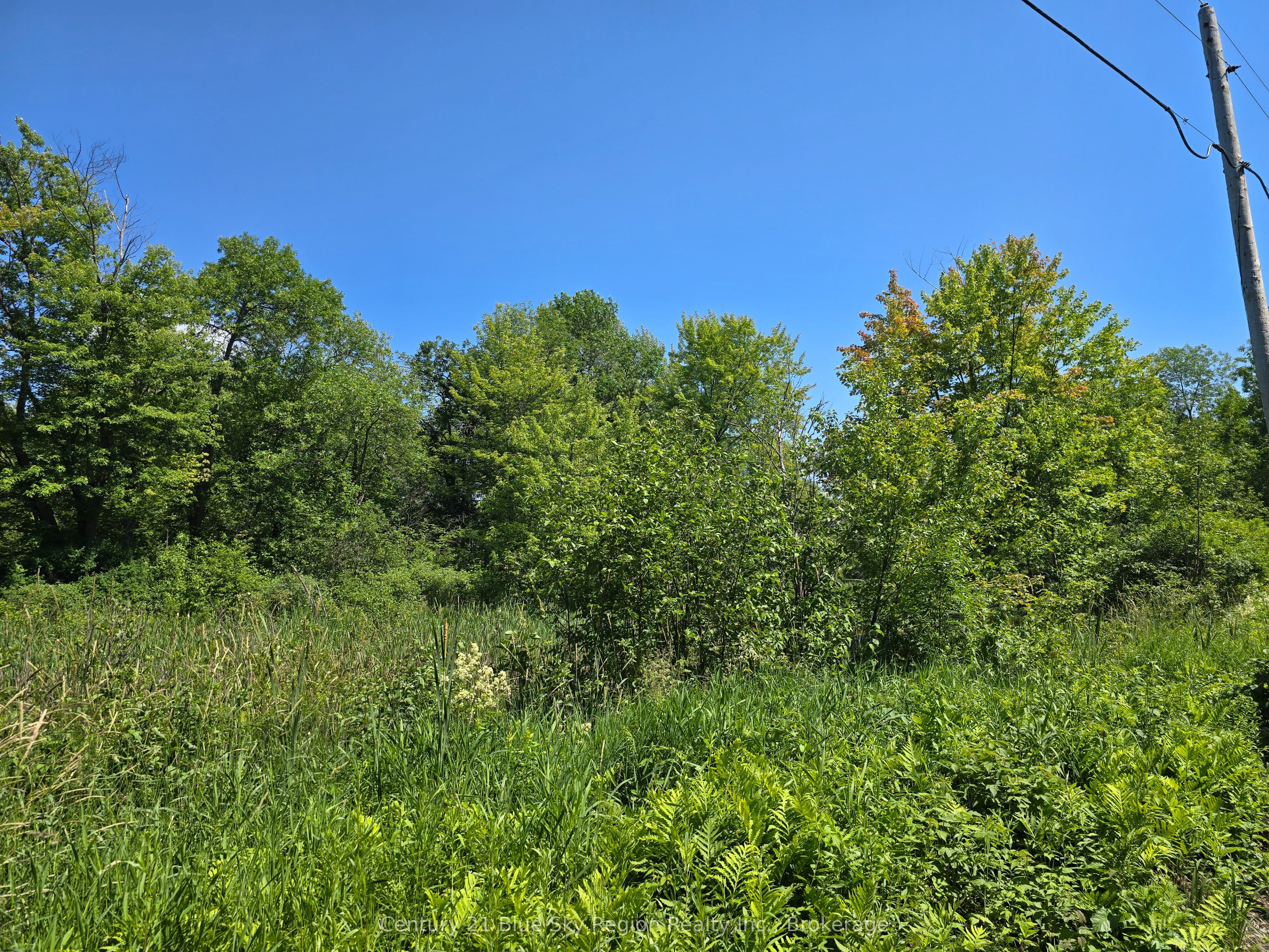 Pt Lt 5 Marleau Road Property Photo 2