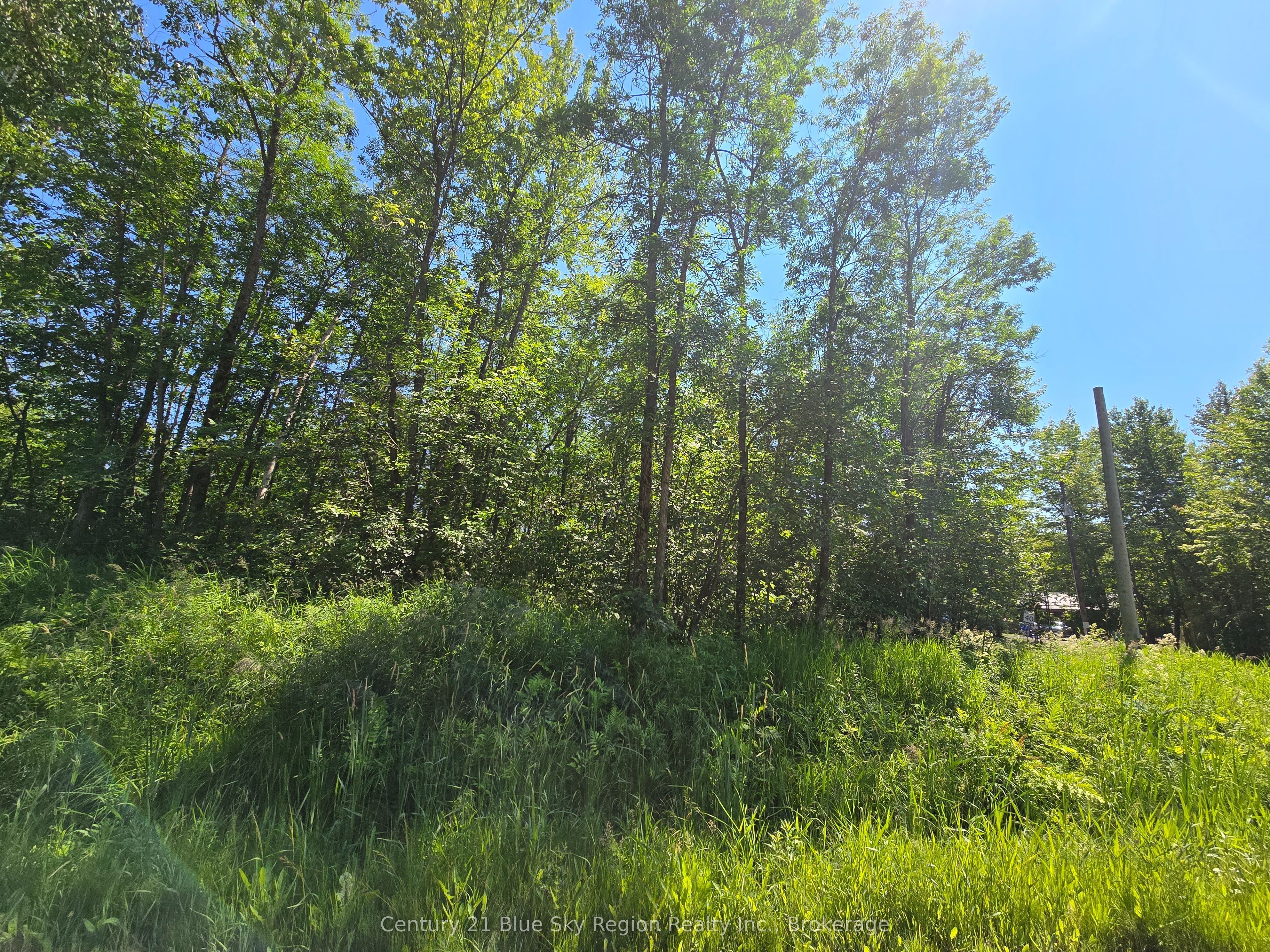 Pt Lt 5 Marleau Road Property Photo 4