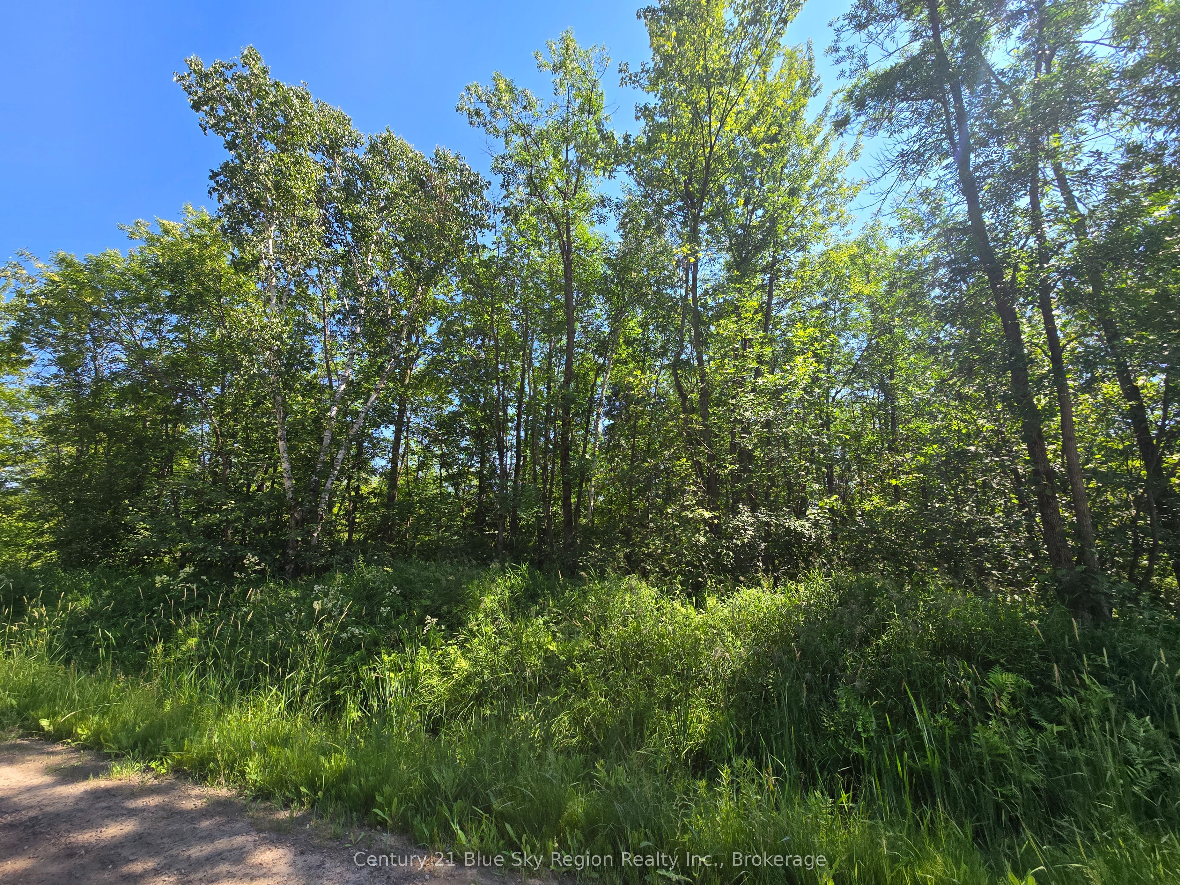 Pt Lt 5 Marleau Road Property Photo 5