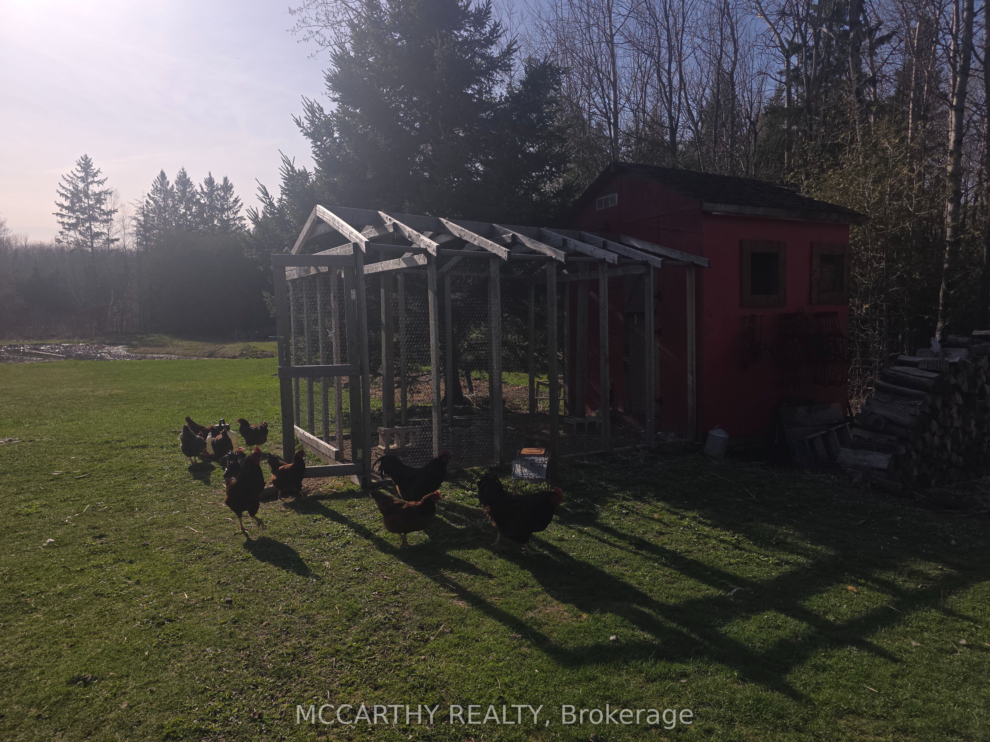 111334 Southgate Sideroad 11 Line Property Photo 26