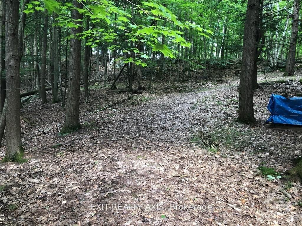 75 Lasha Lane Property Photo 9