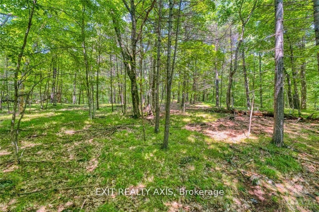 75 Lasha Lane Property Photo 10