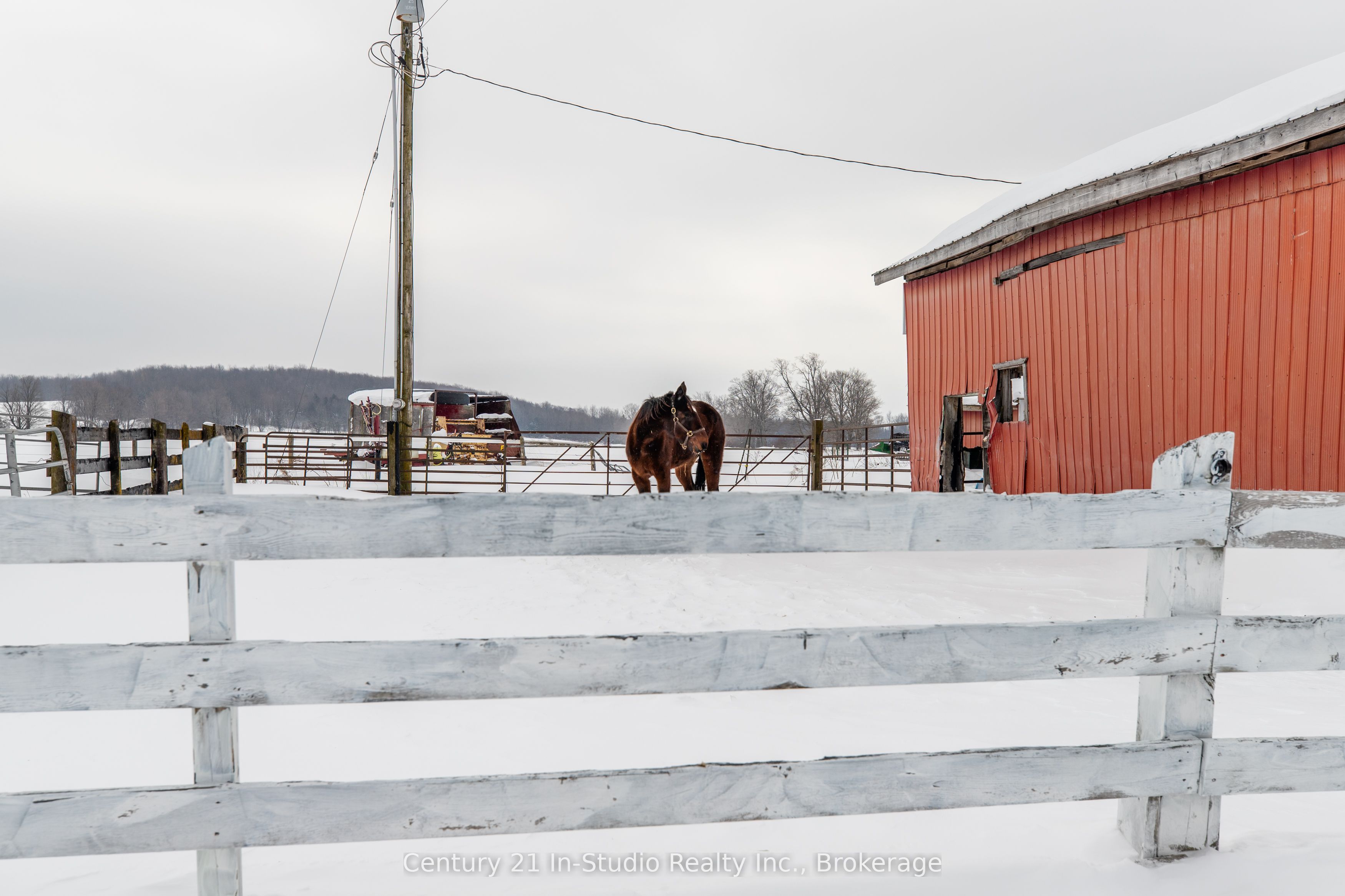 425158 Irish Lake Road Property Photo 14