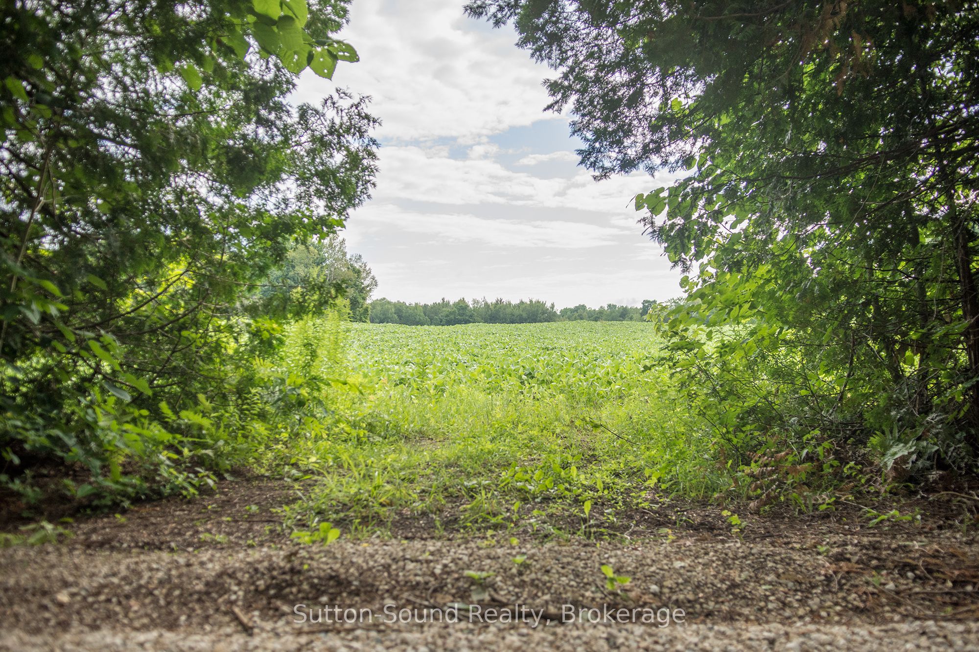 Pl11-12 10 Sideroad Property Photo 12