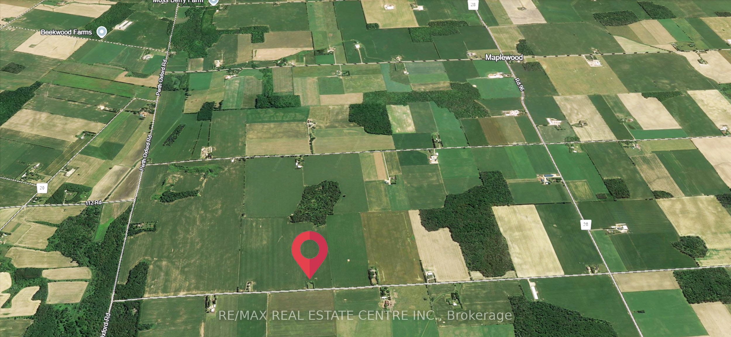 417056 41st Line Property Photo 7