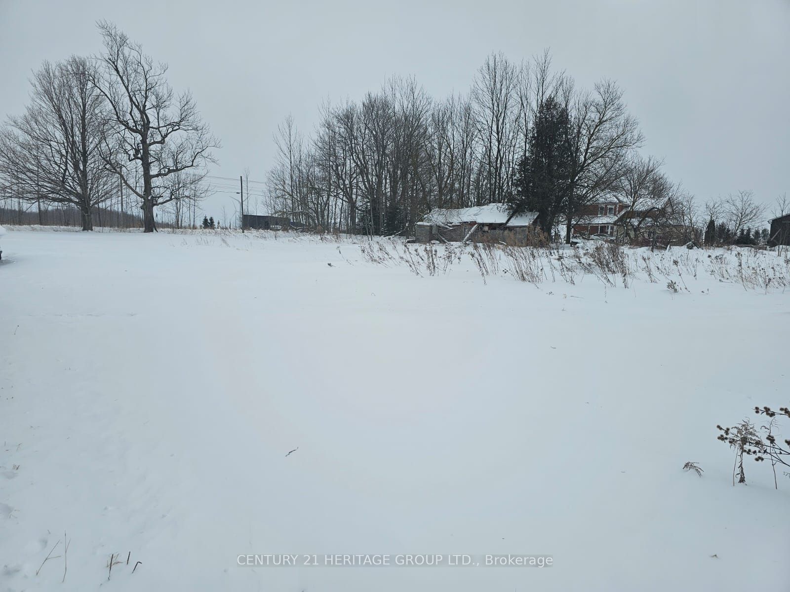 682363 260 Side Road Property Photo 1