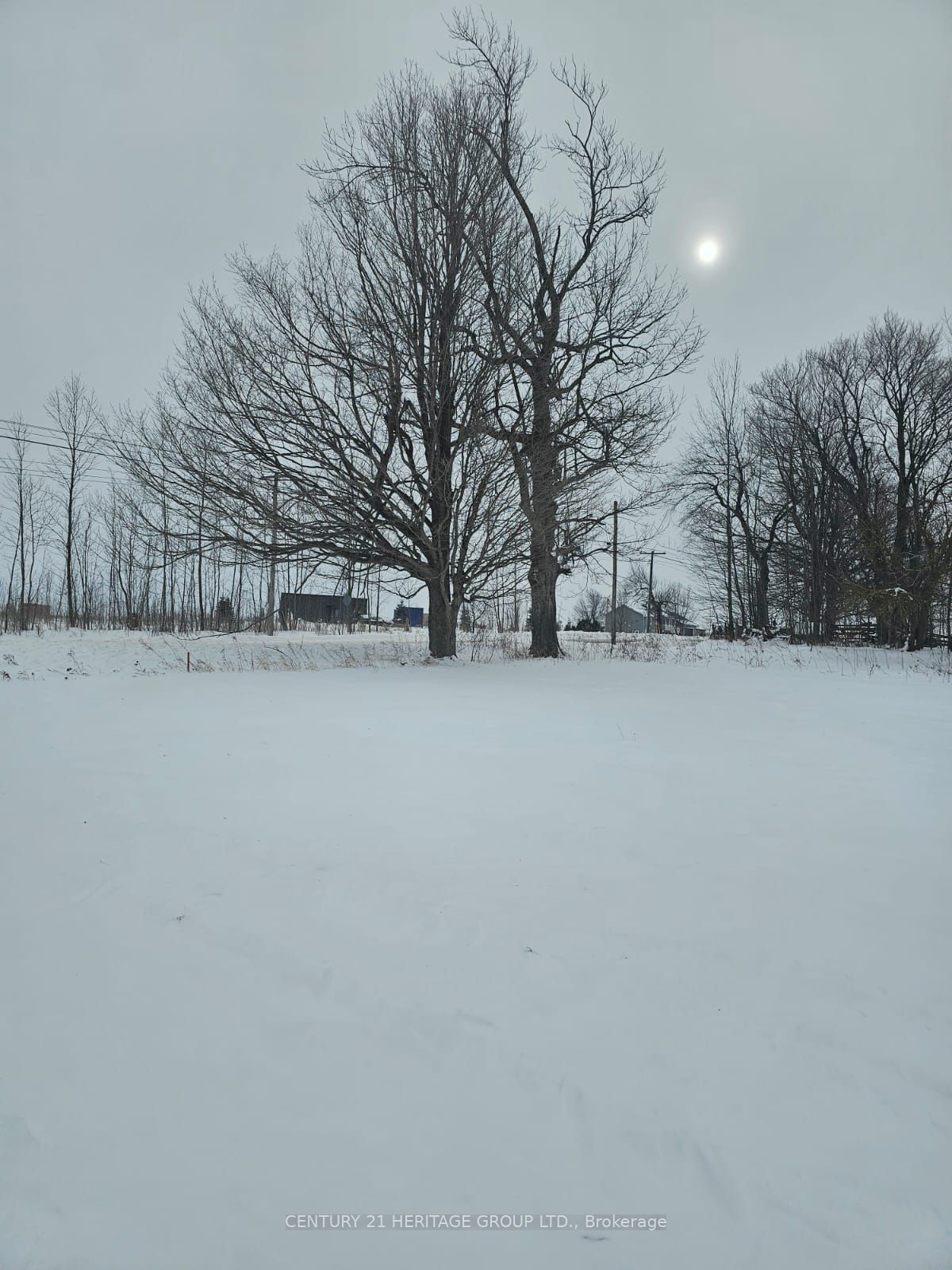 682363 260 Side Road Property Photo 2