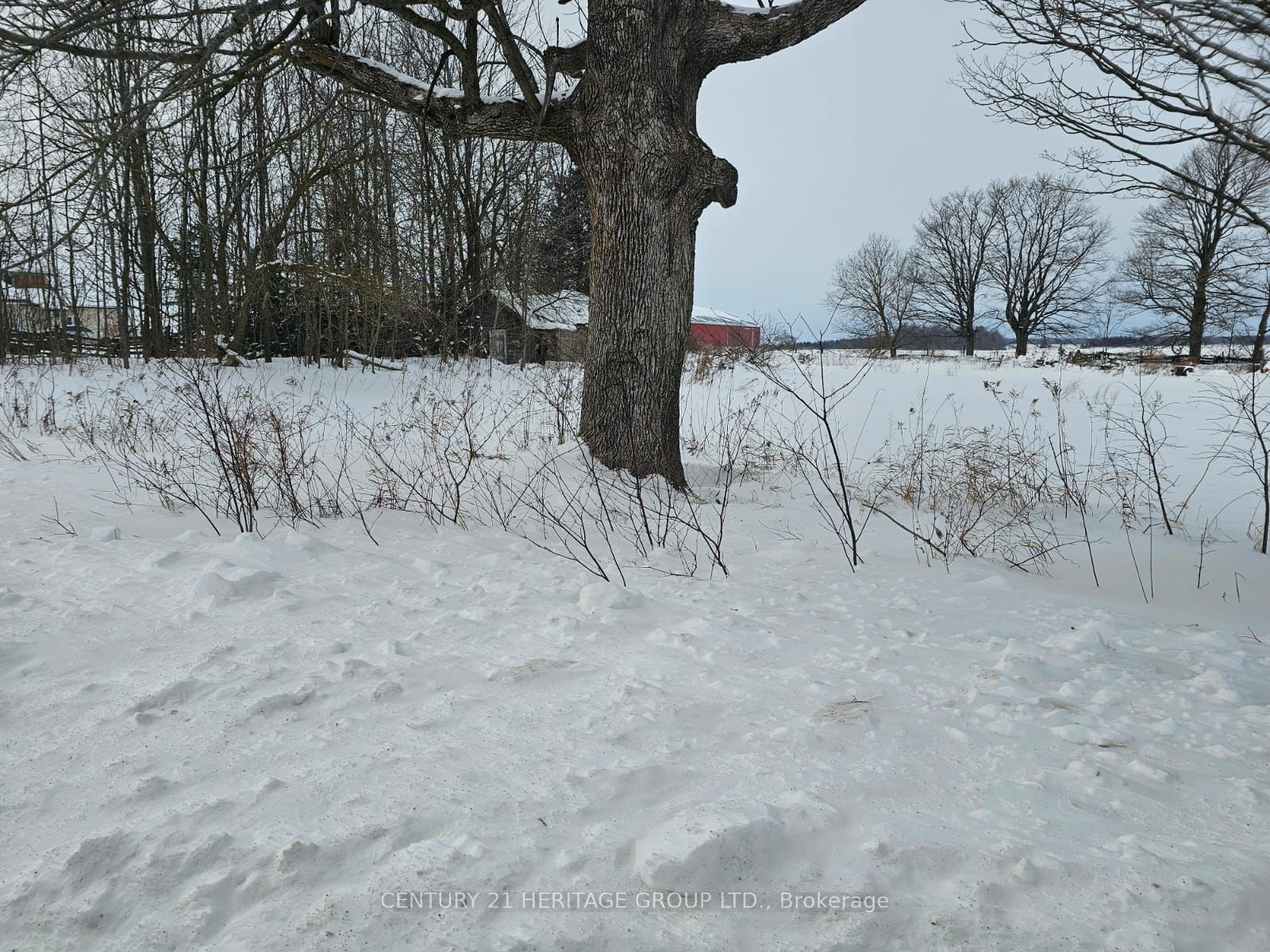 682363 260 Side Road Property Photo 3