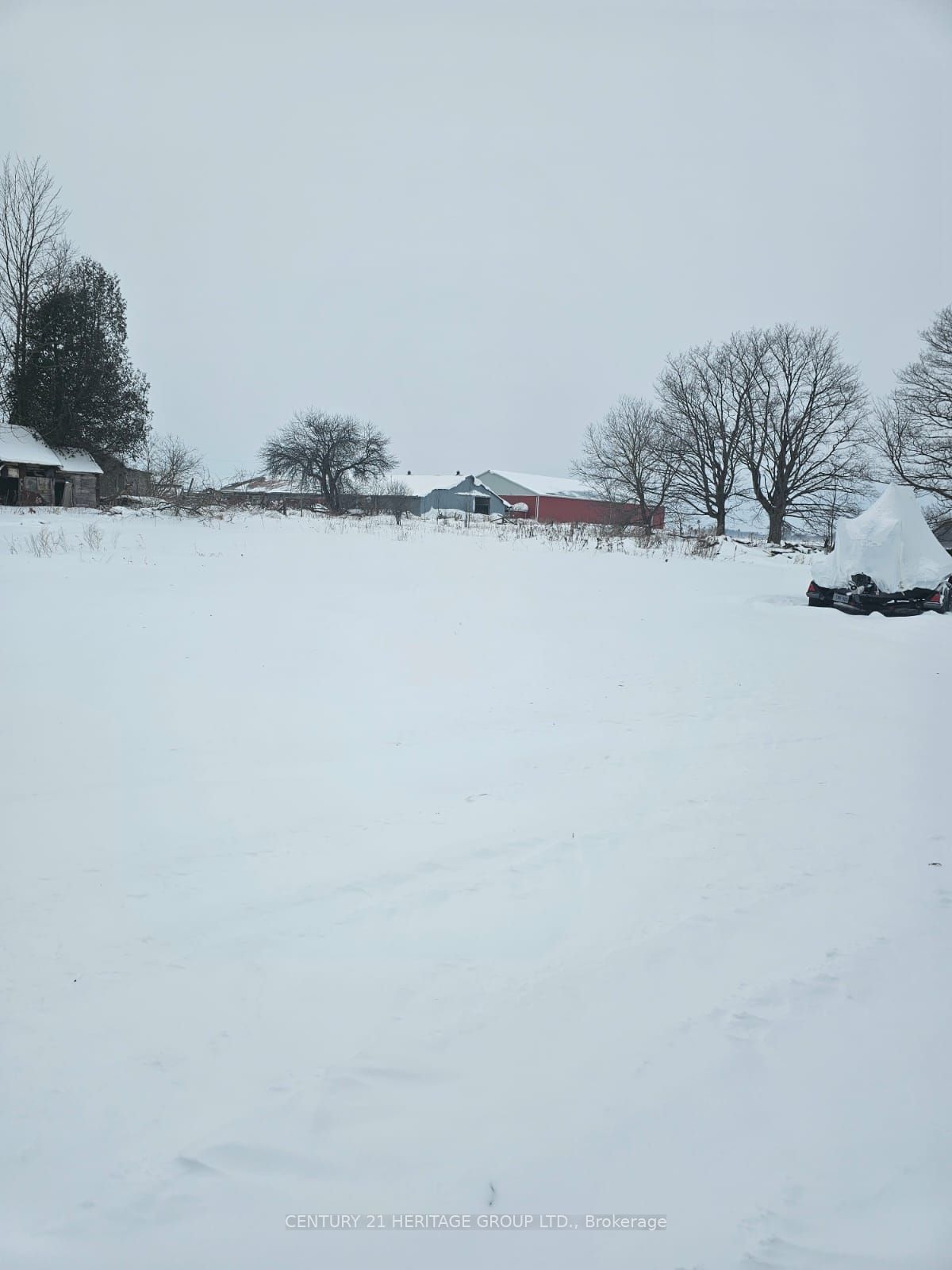 682363 260 Side Road Property Photo 4