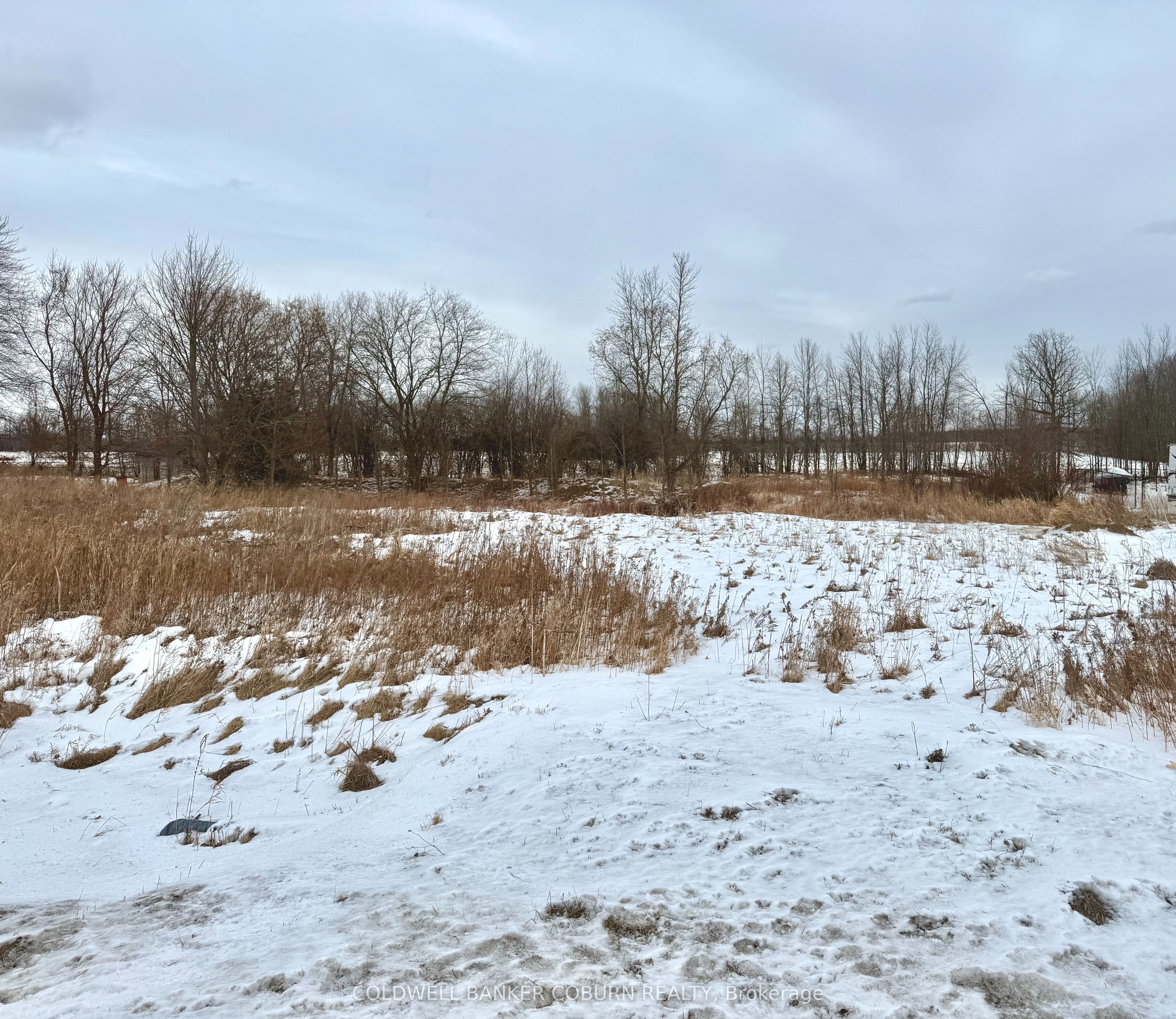 11880 County Road 18 Road Property Photo 3