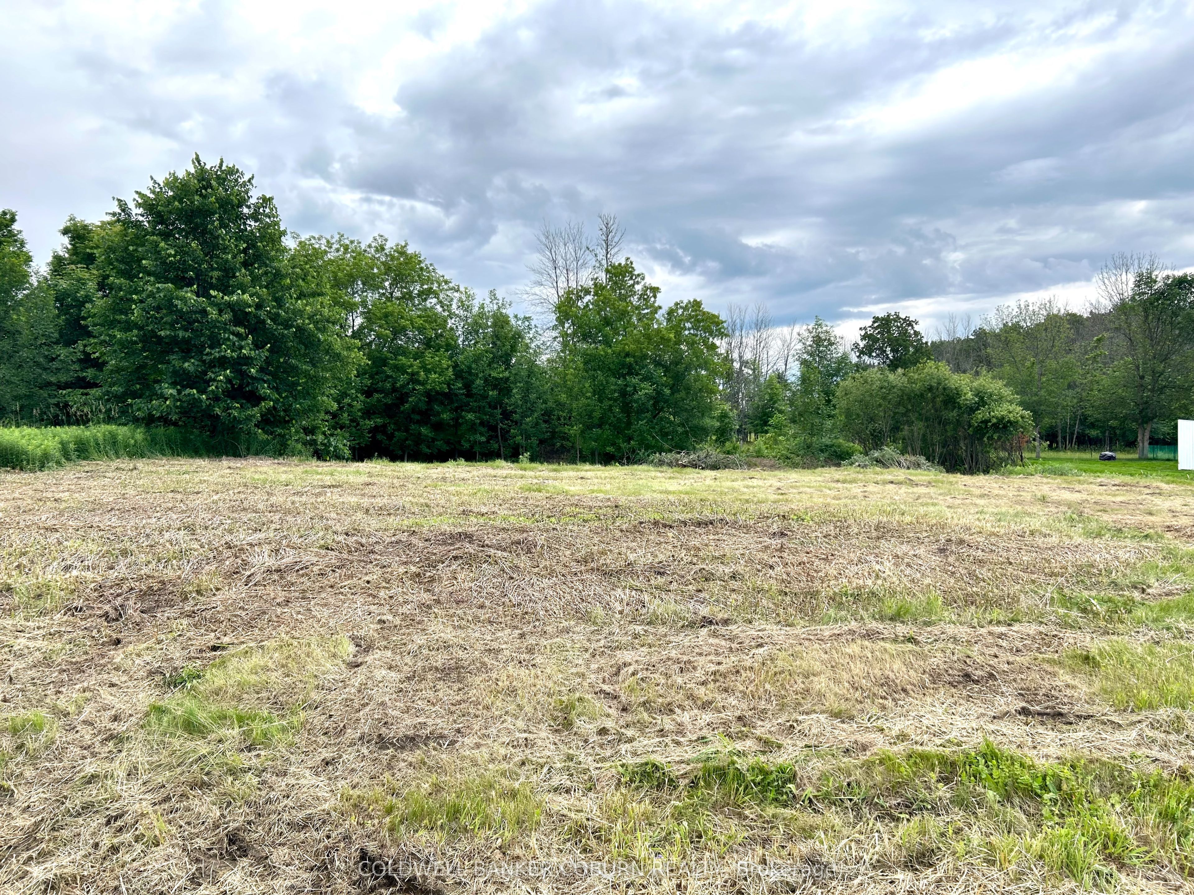 11880 County Road 18 Road Property Photo 4