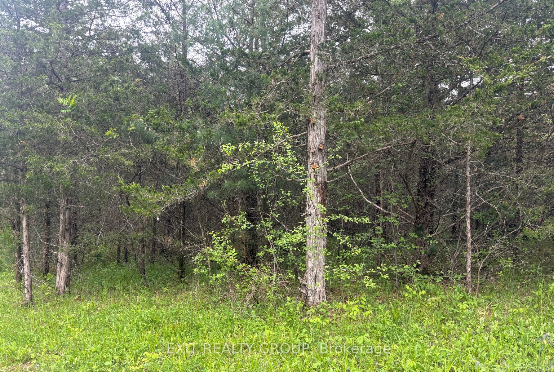 262 Johnston Road Property Photo 4