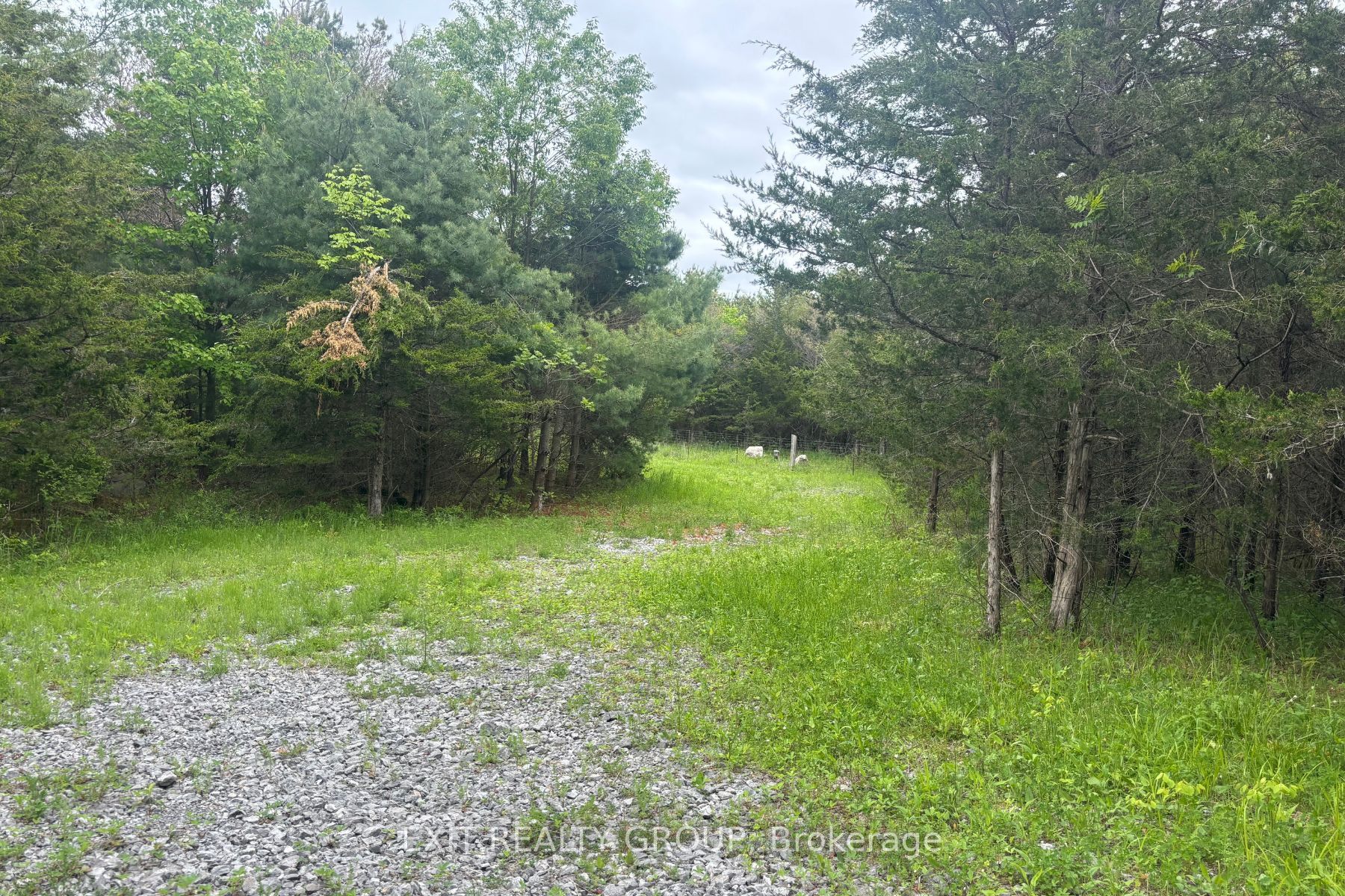 262 Johnston Road Property Photo 5