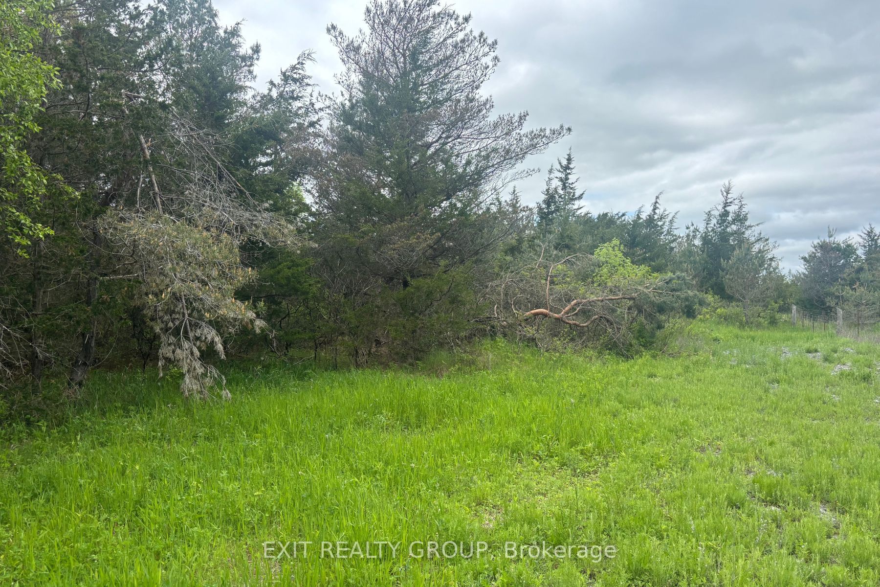 262 Johnston Road Property Photo 6