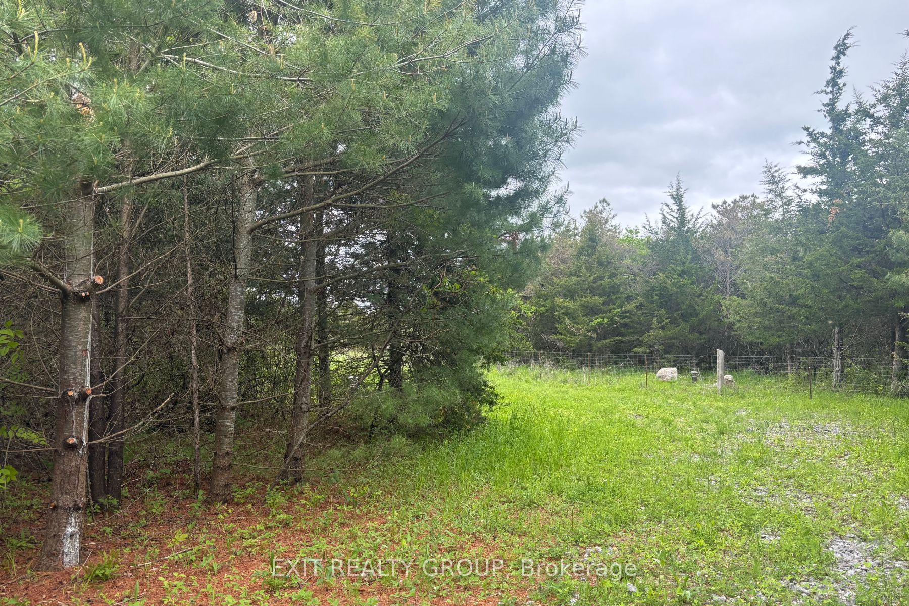 262 Johnston Road Property Photo 7