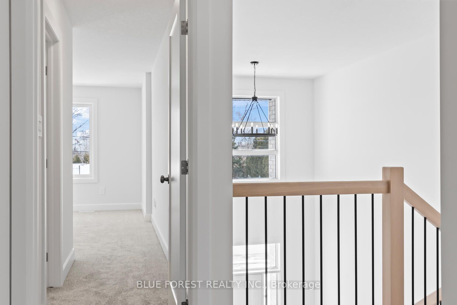 194-1 Mcrae Street Property Photo 19