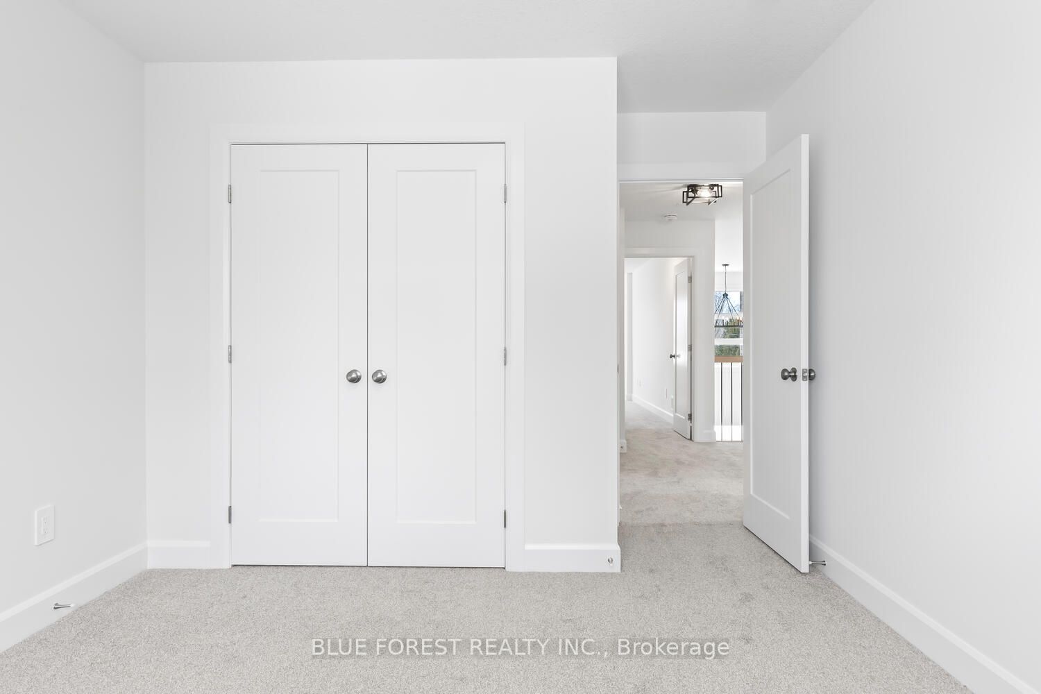 194-1 Mcrae Street Property Photo 20