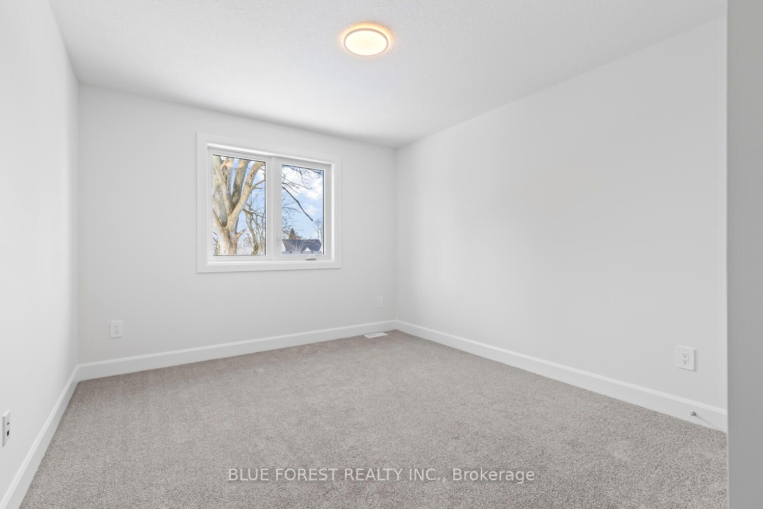 194-1 Mcrae Street Property Photo 21