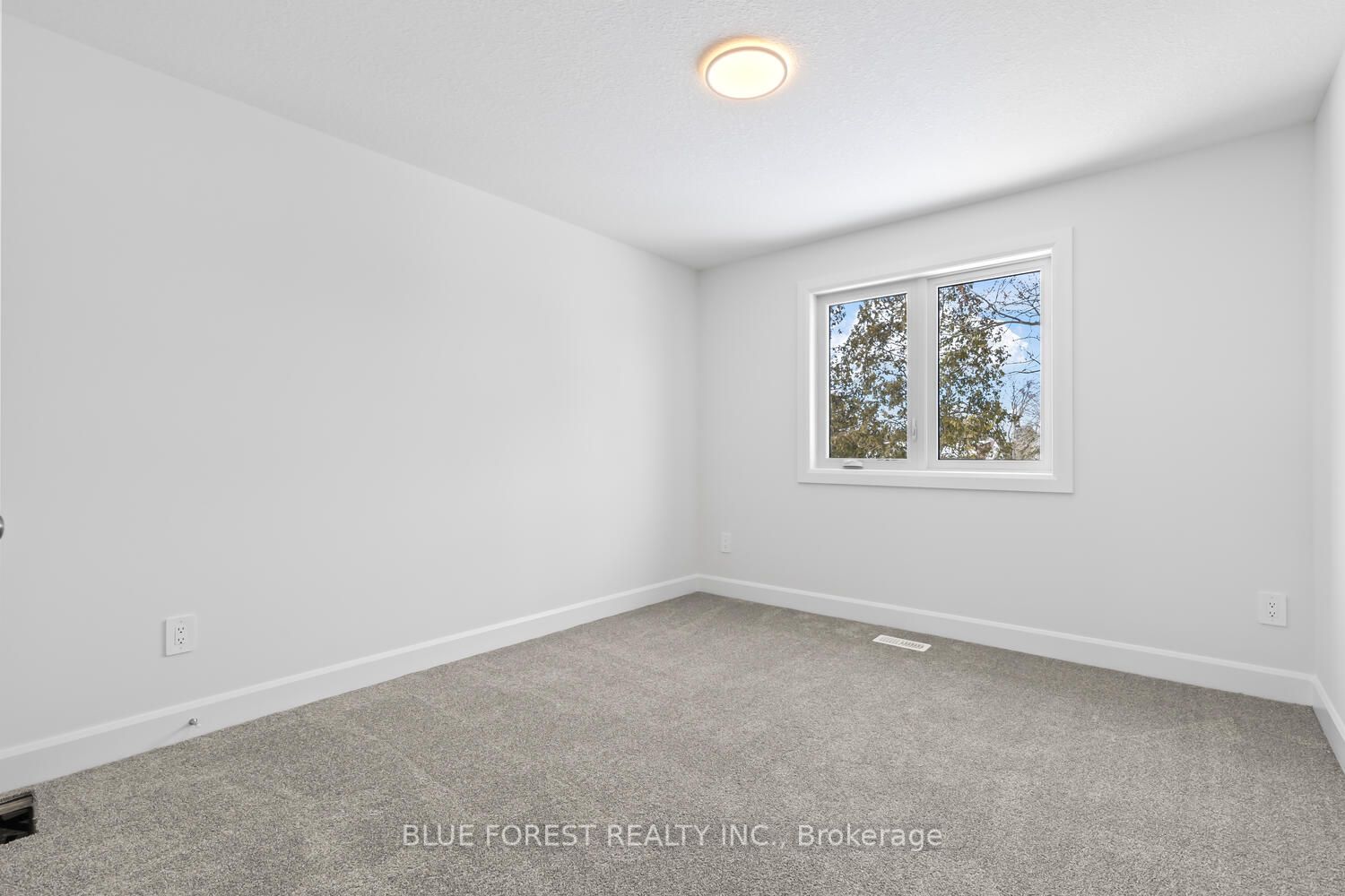 194-1 Mcrae Street Property Photo 27