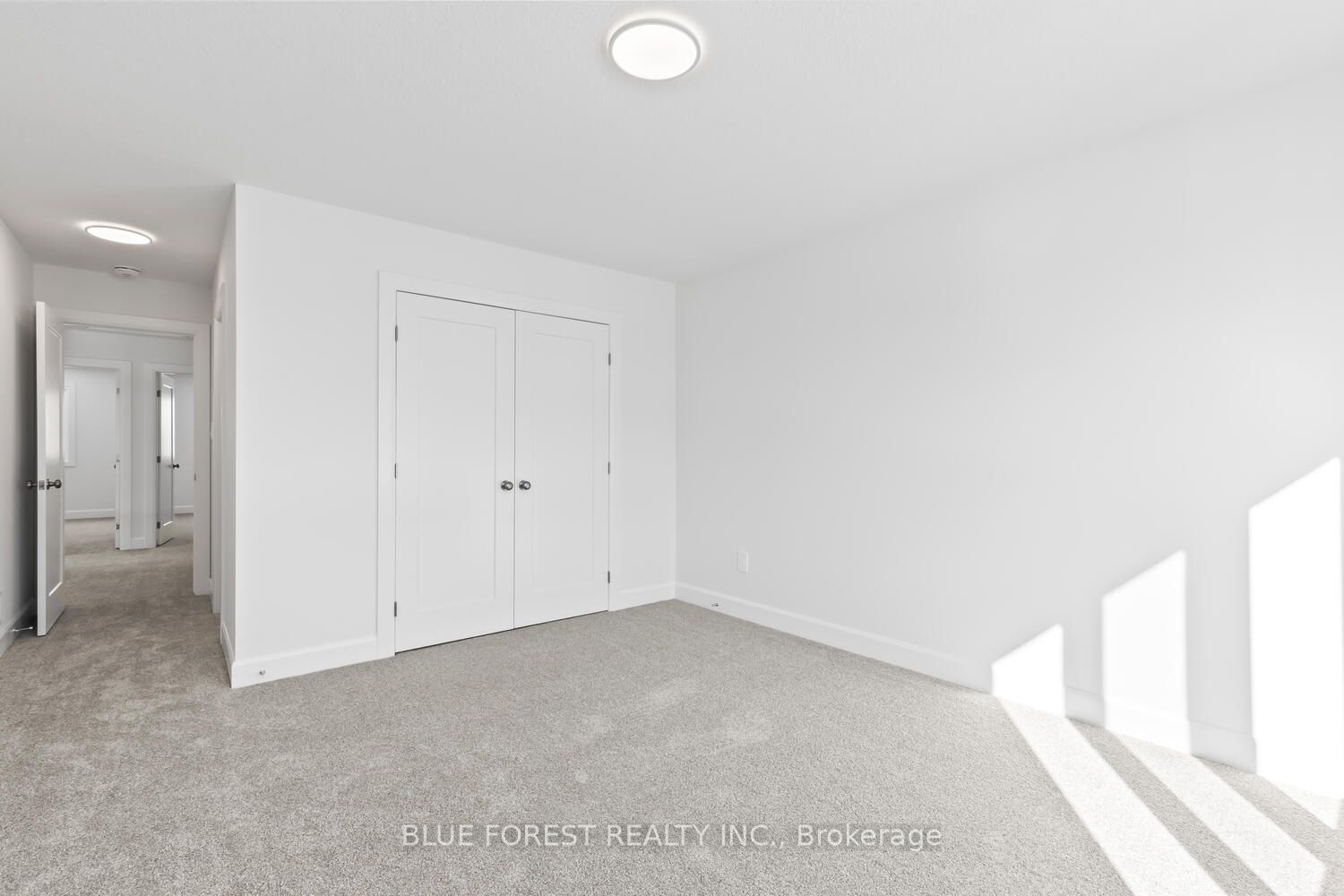 194-1 Mcrae Street Property Photo 30