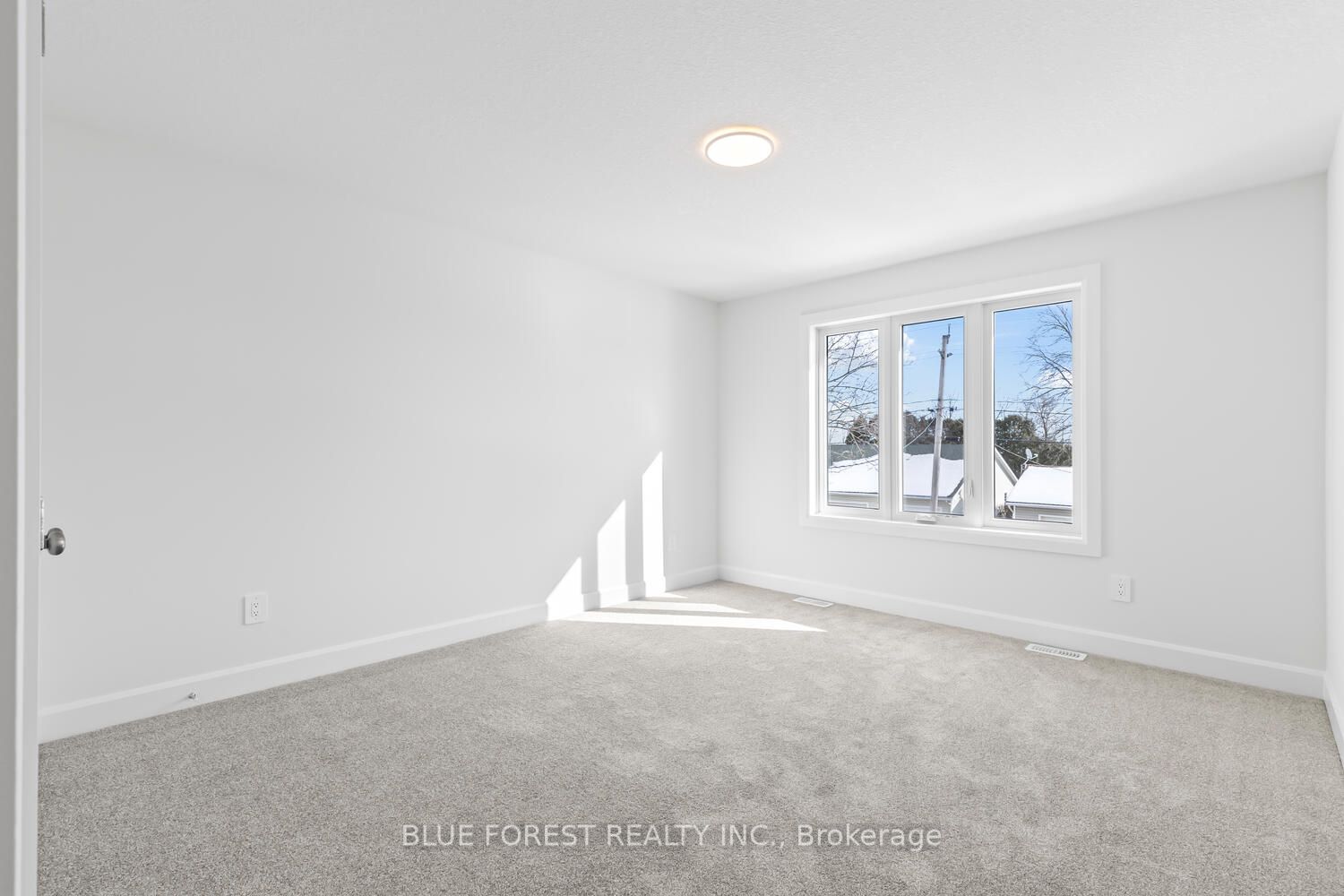 194-1 Mcrae Street Property Photo 31