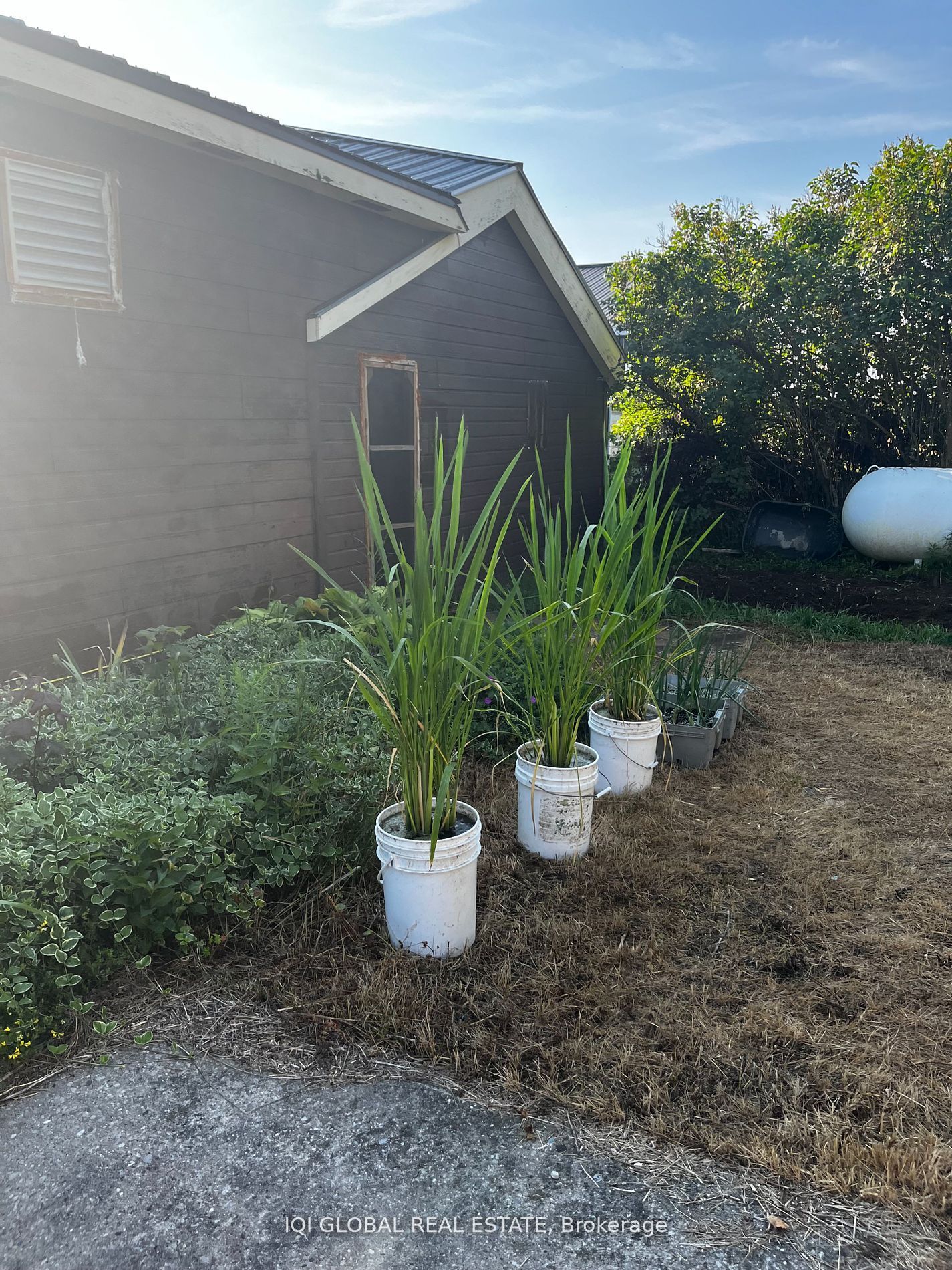625 Little Pike Bay Road Property Photo 13