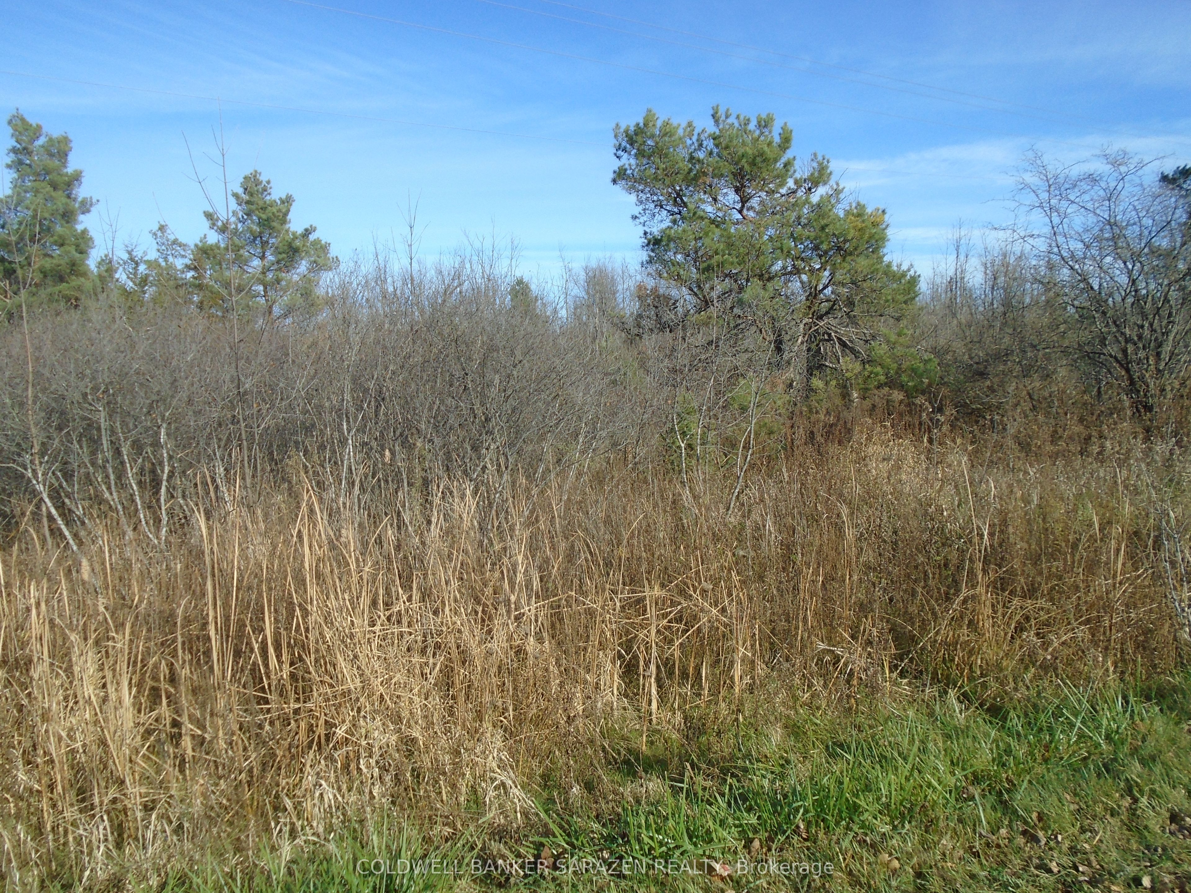 1-49 Rideau Avenue Property Photo
