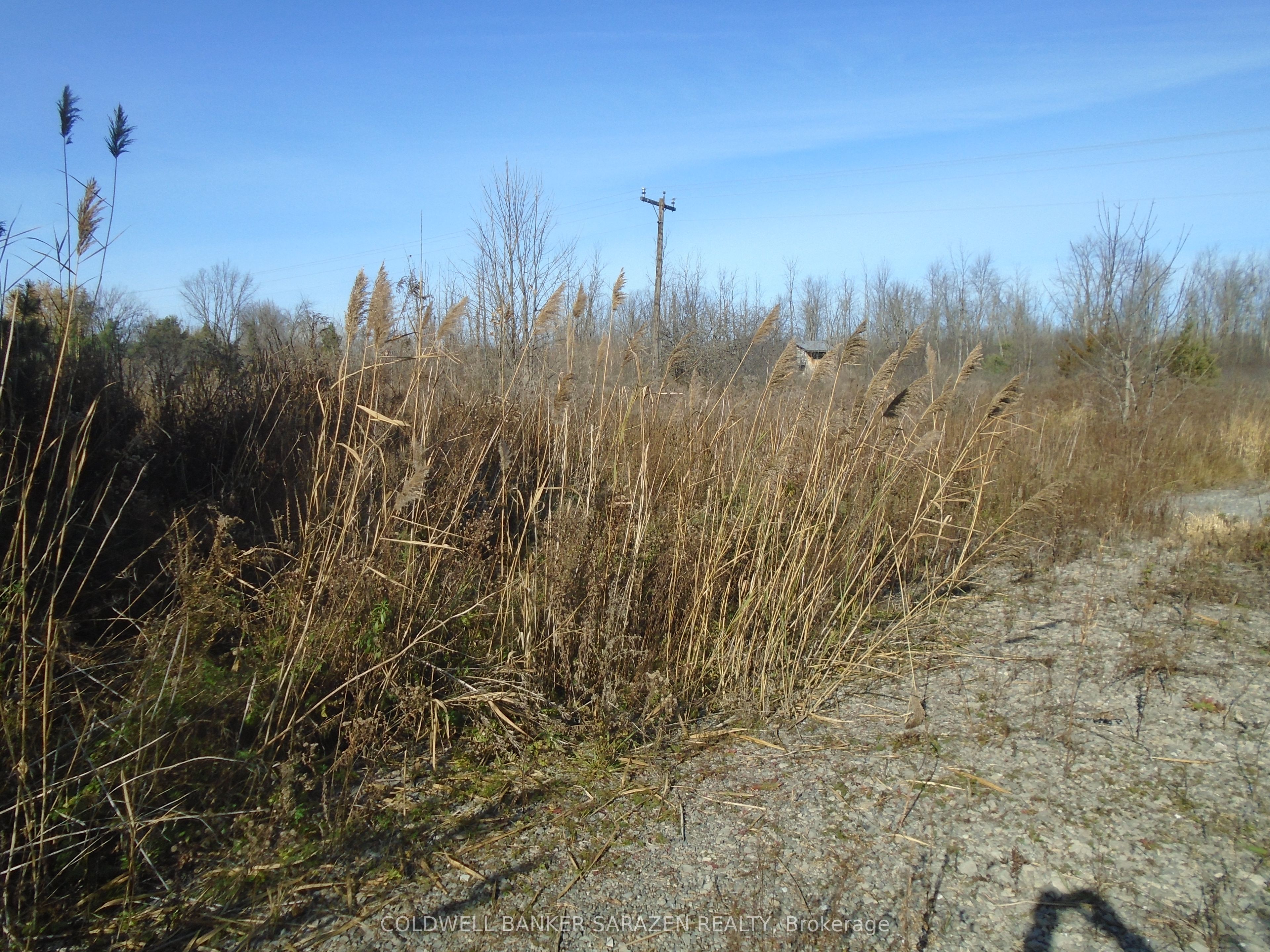 1-49 Rideau Avenue Property Photo 6