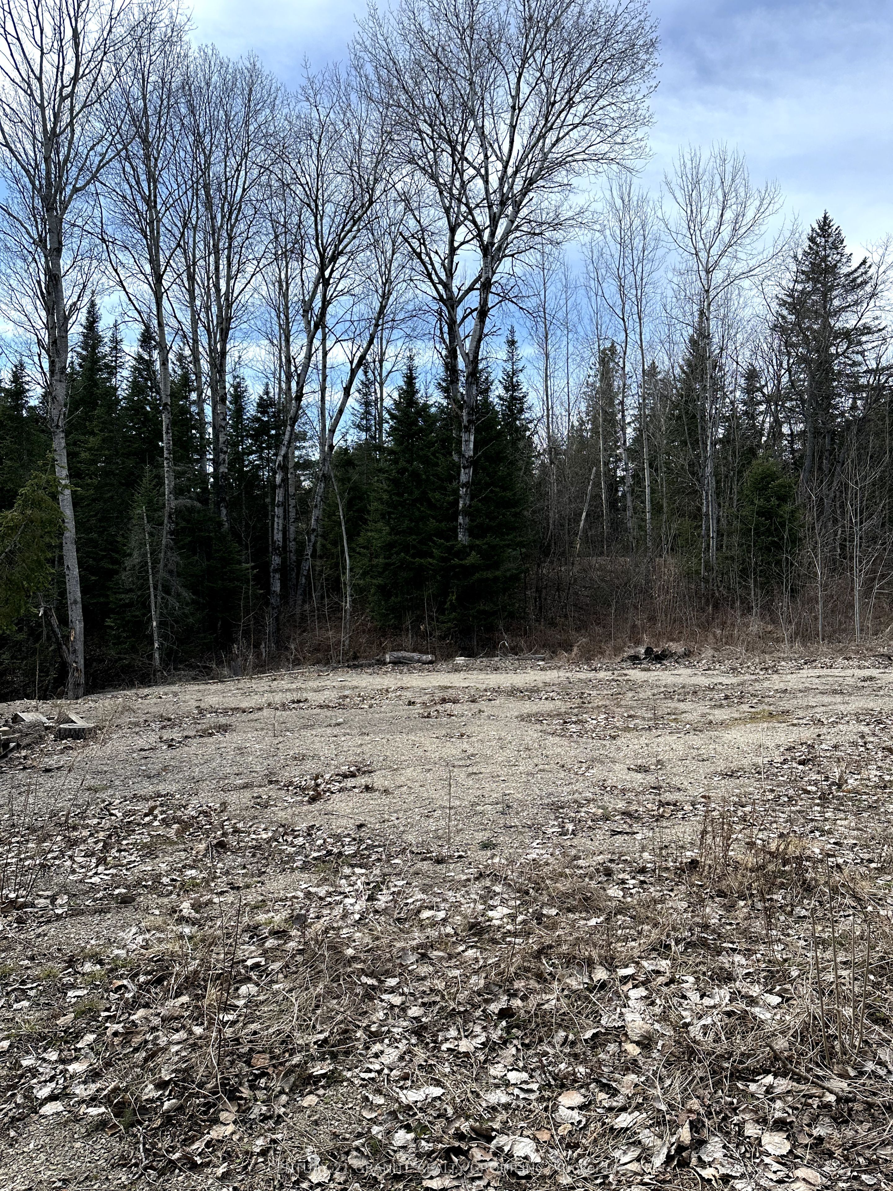 25363 Highway 62 Property Photo 11