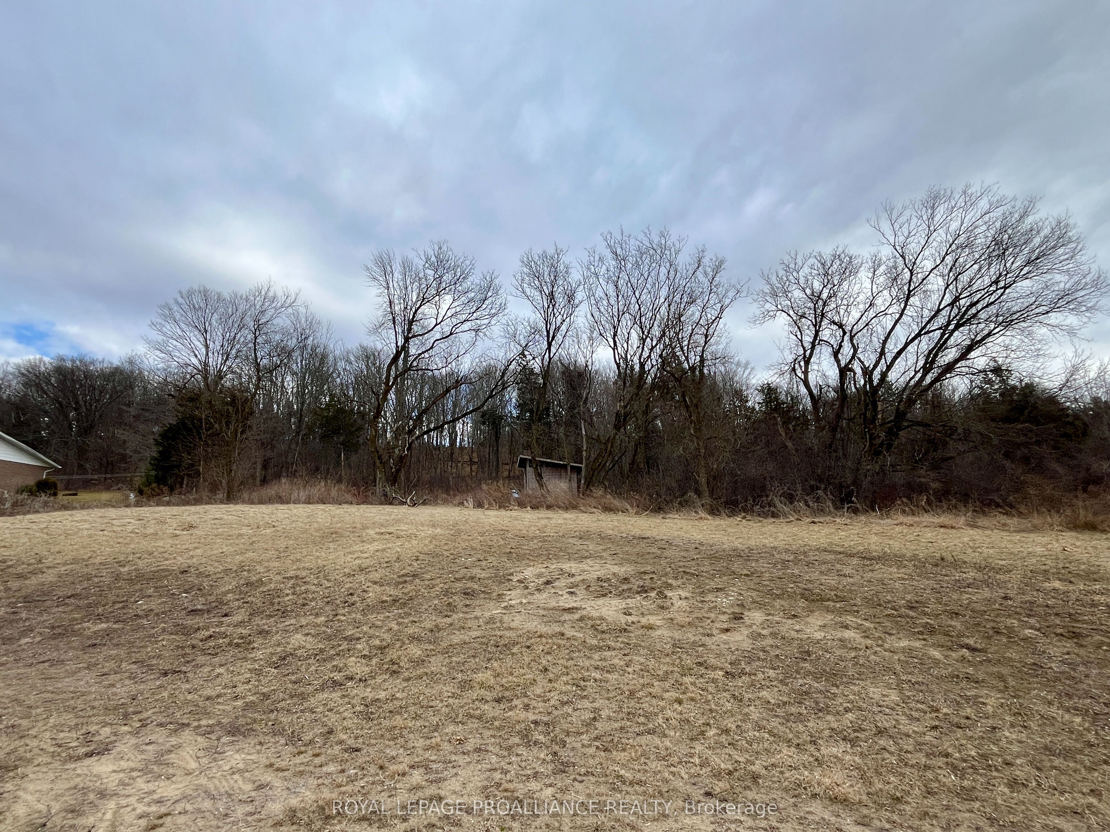 2237 County Rd 3 Property Photo 6