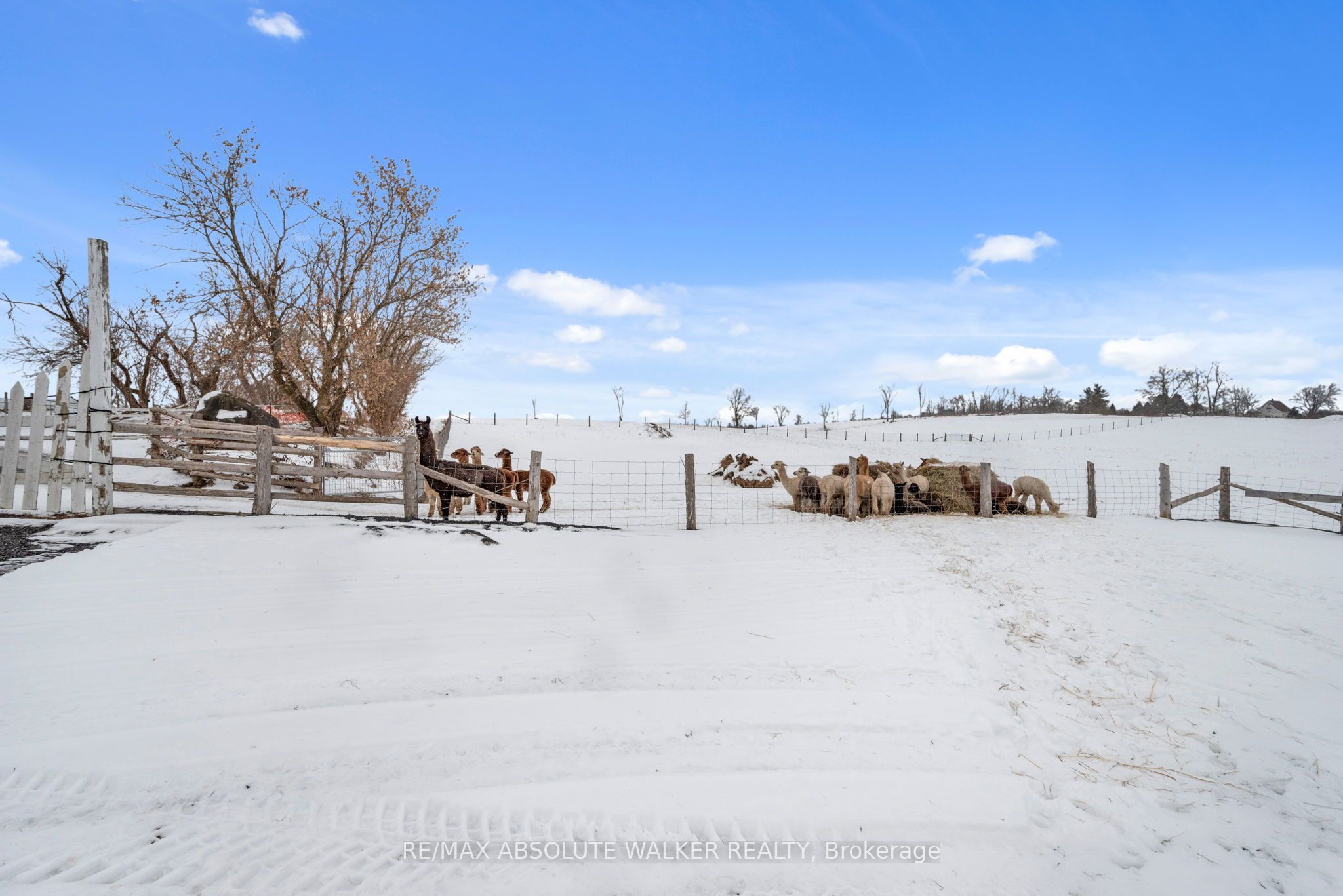19152 County Rd 25 Road Property Photo 11