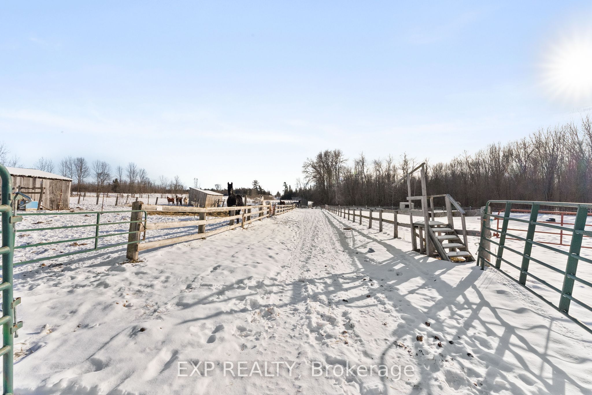 20771 Highway No. 17 Property Photo 19