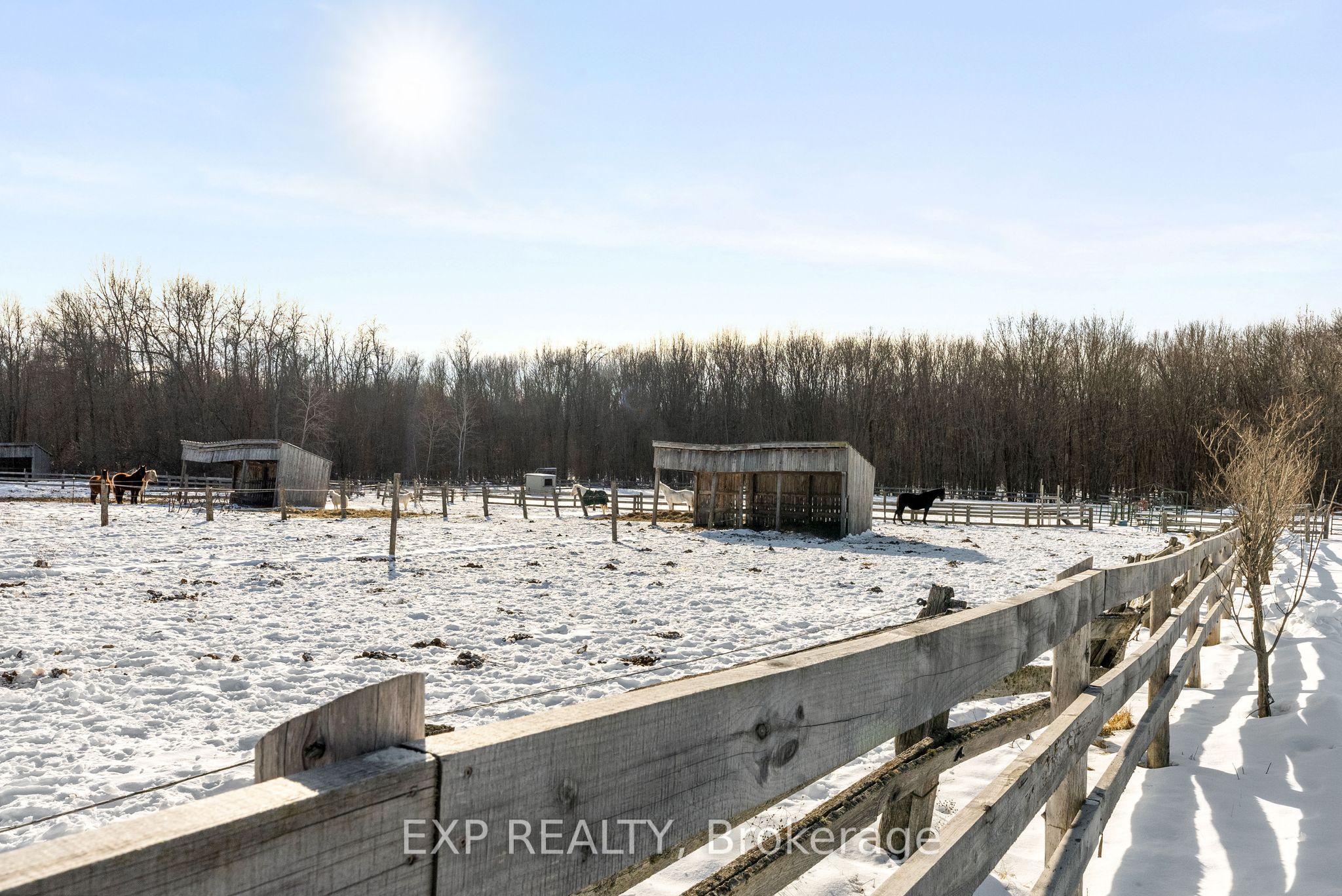 20771 Highway No. 17 Property Photo 39