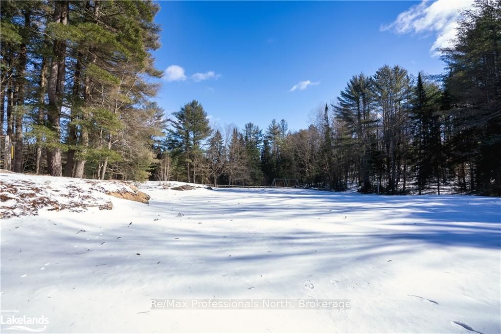 2483 Old Muskoka Road Property Photo 10