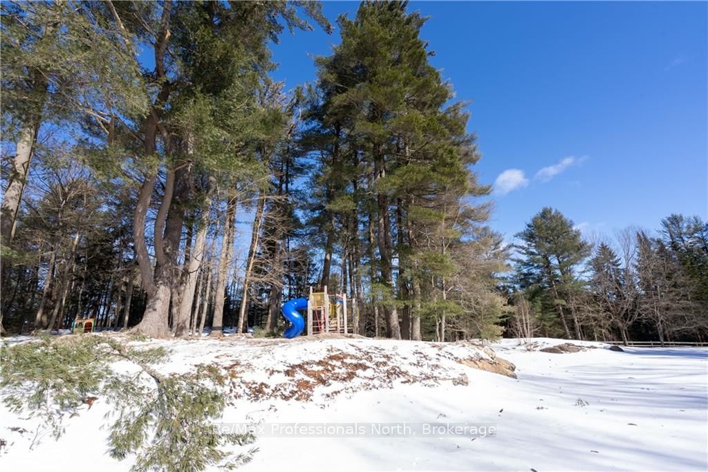2483 Old Muskoka Road Property Photo 15