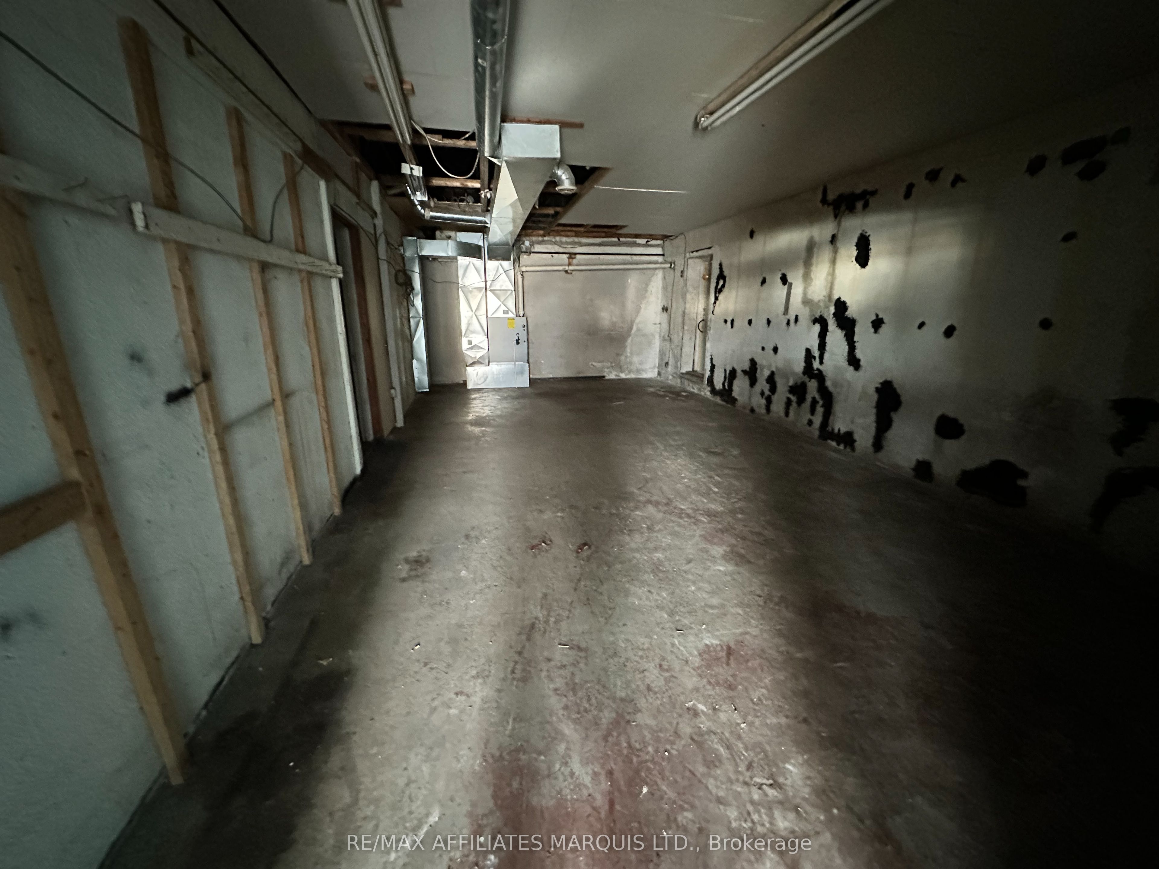 1124 Paul St Property Photo 3