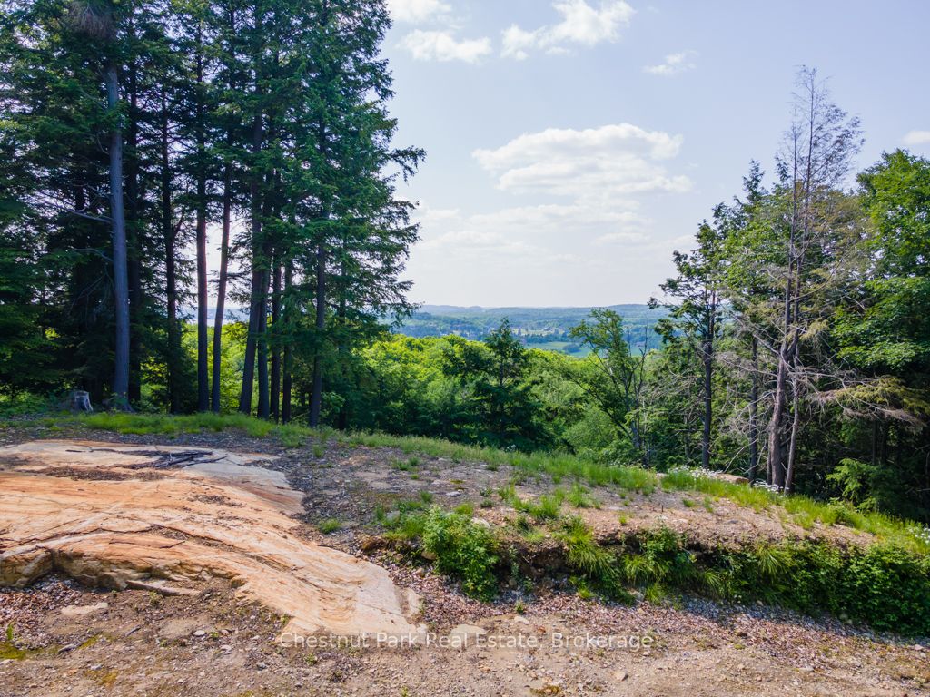 19 Old Hemlock Trail Property Photo 1