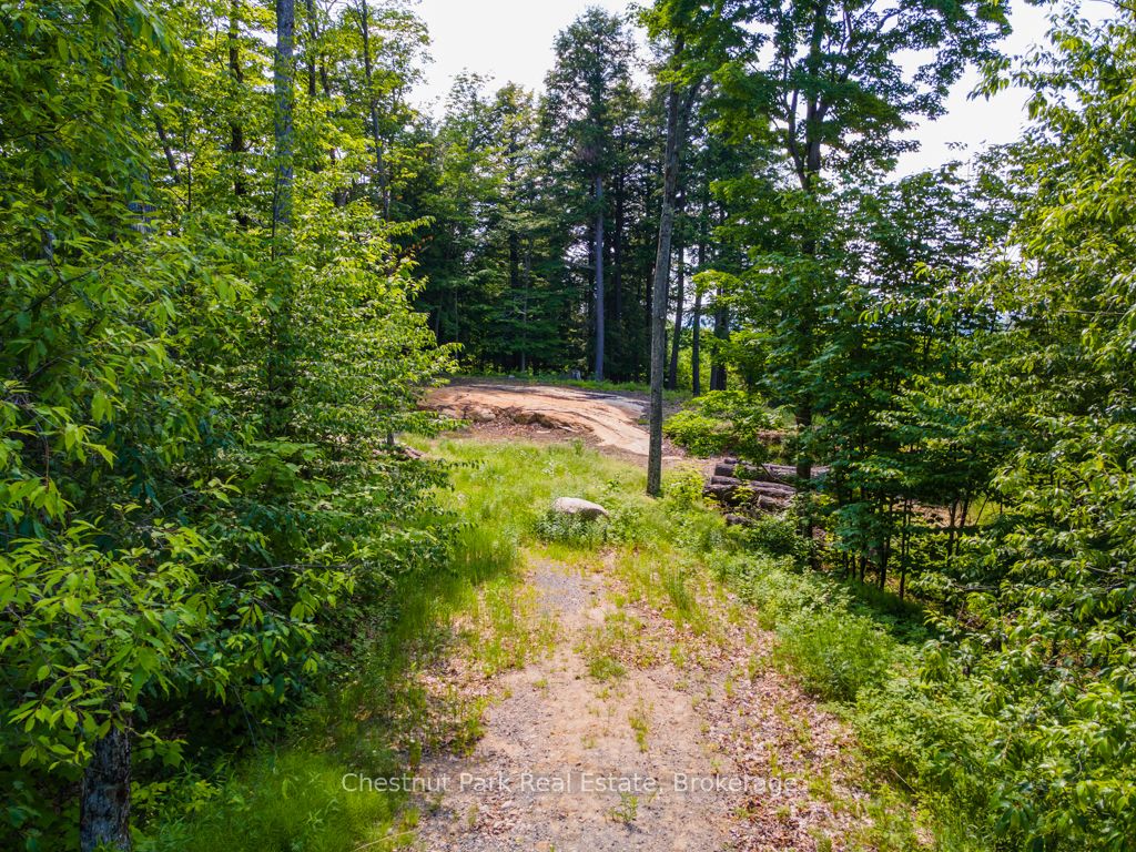 19 Old Hemlock Trail Property Photo 4