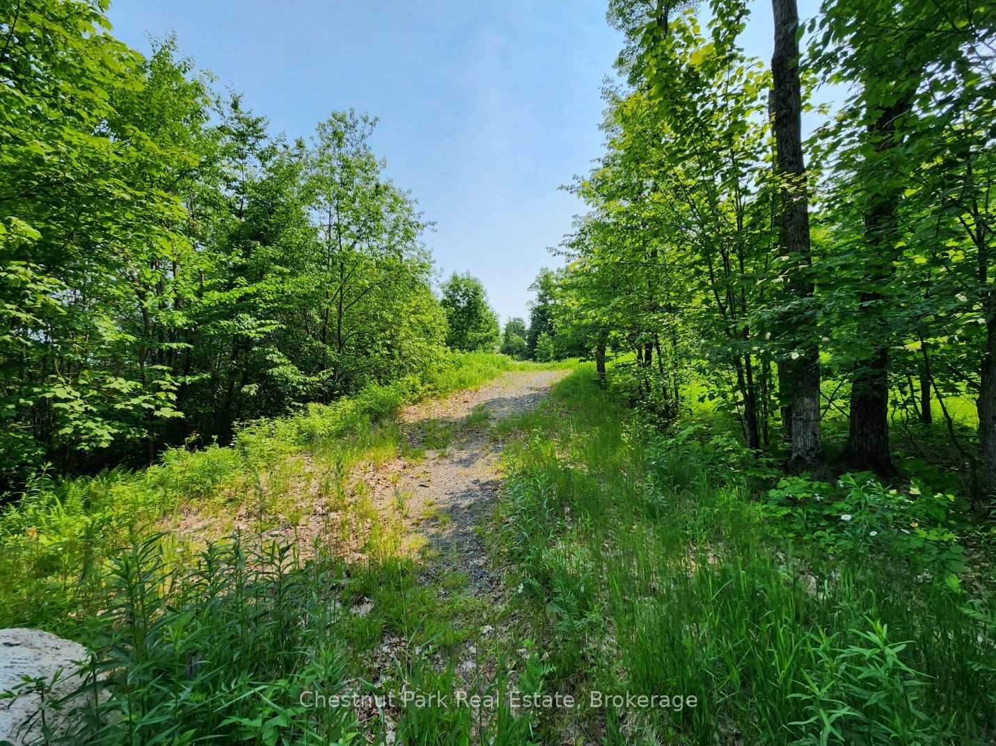 19 Old Hemlock Trail Property Photo 5