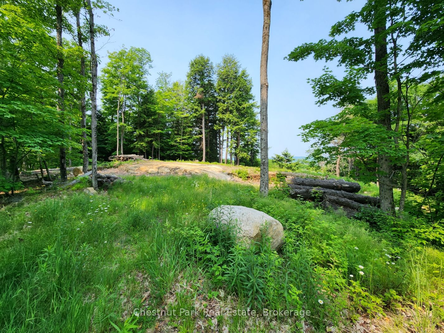 19 Old Hemlock Trail Property Photo 6