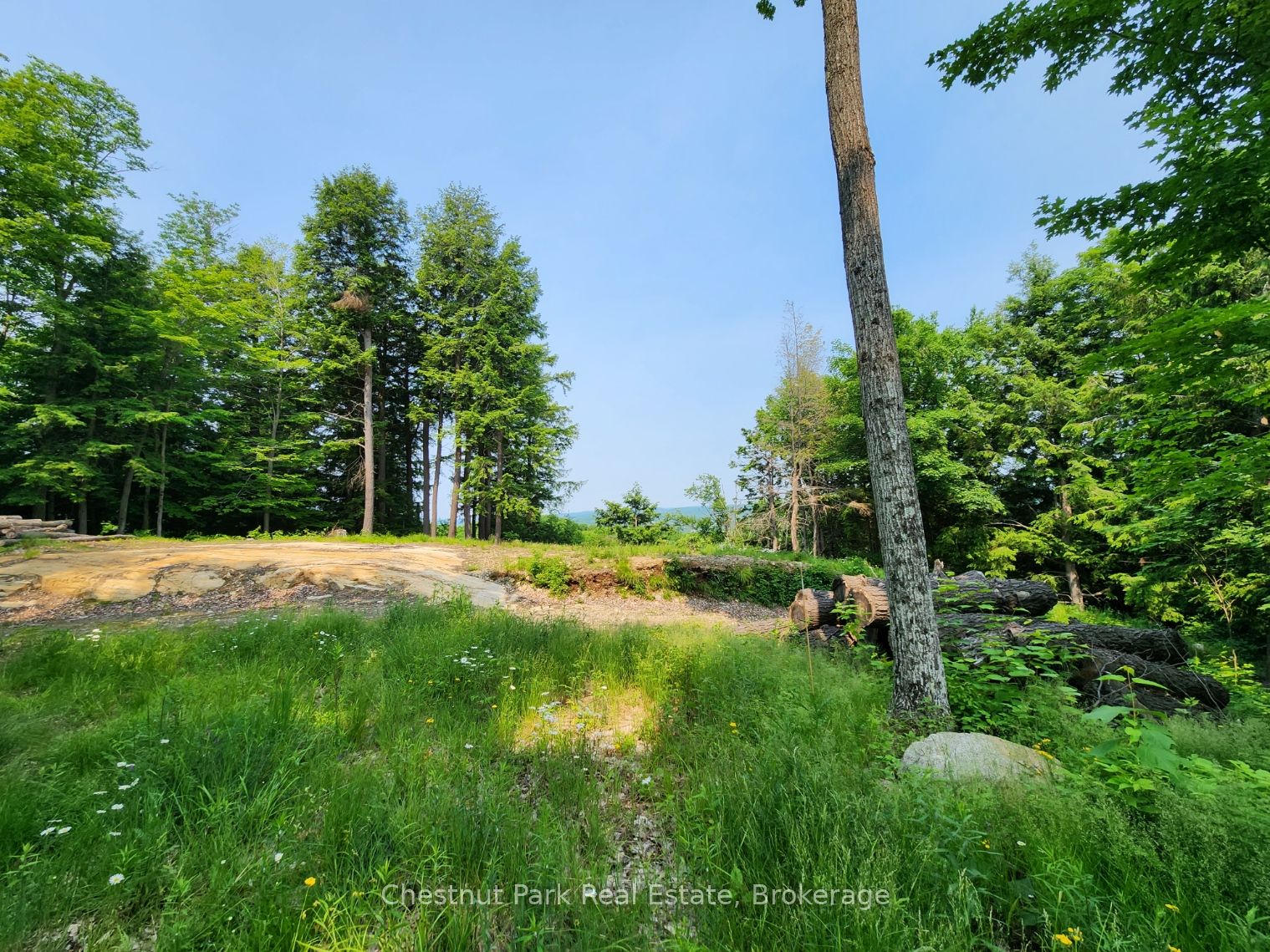19 Old Hemlock Trail Property Photo 7