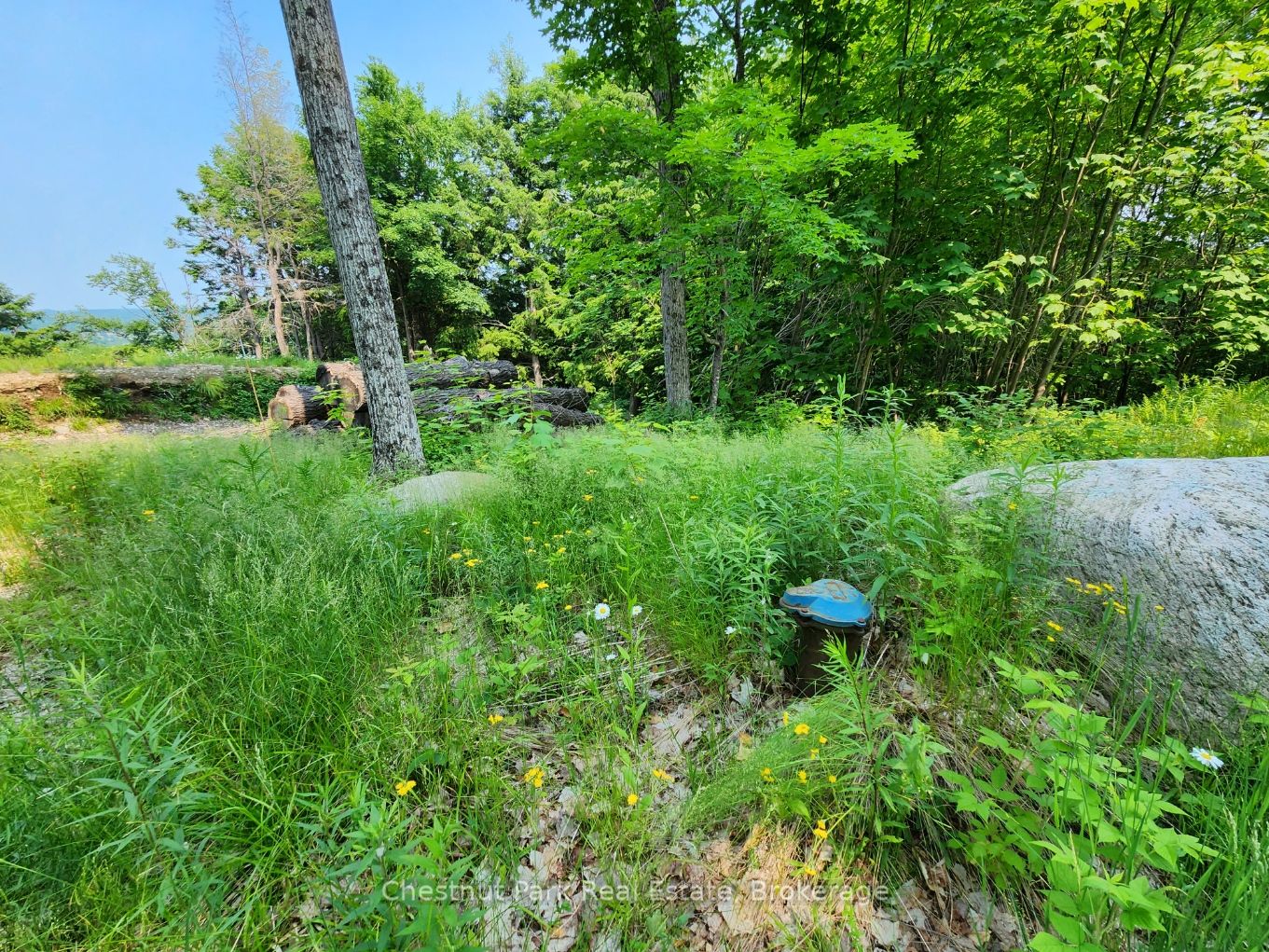 19 Old Hemlock Trail Property Photo 8