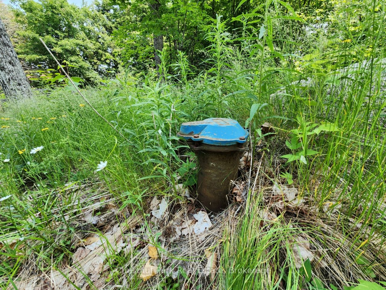 19 Old Hemlock Trail Property Photo 9