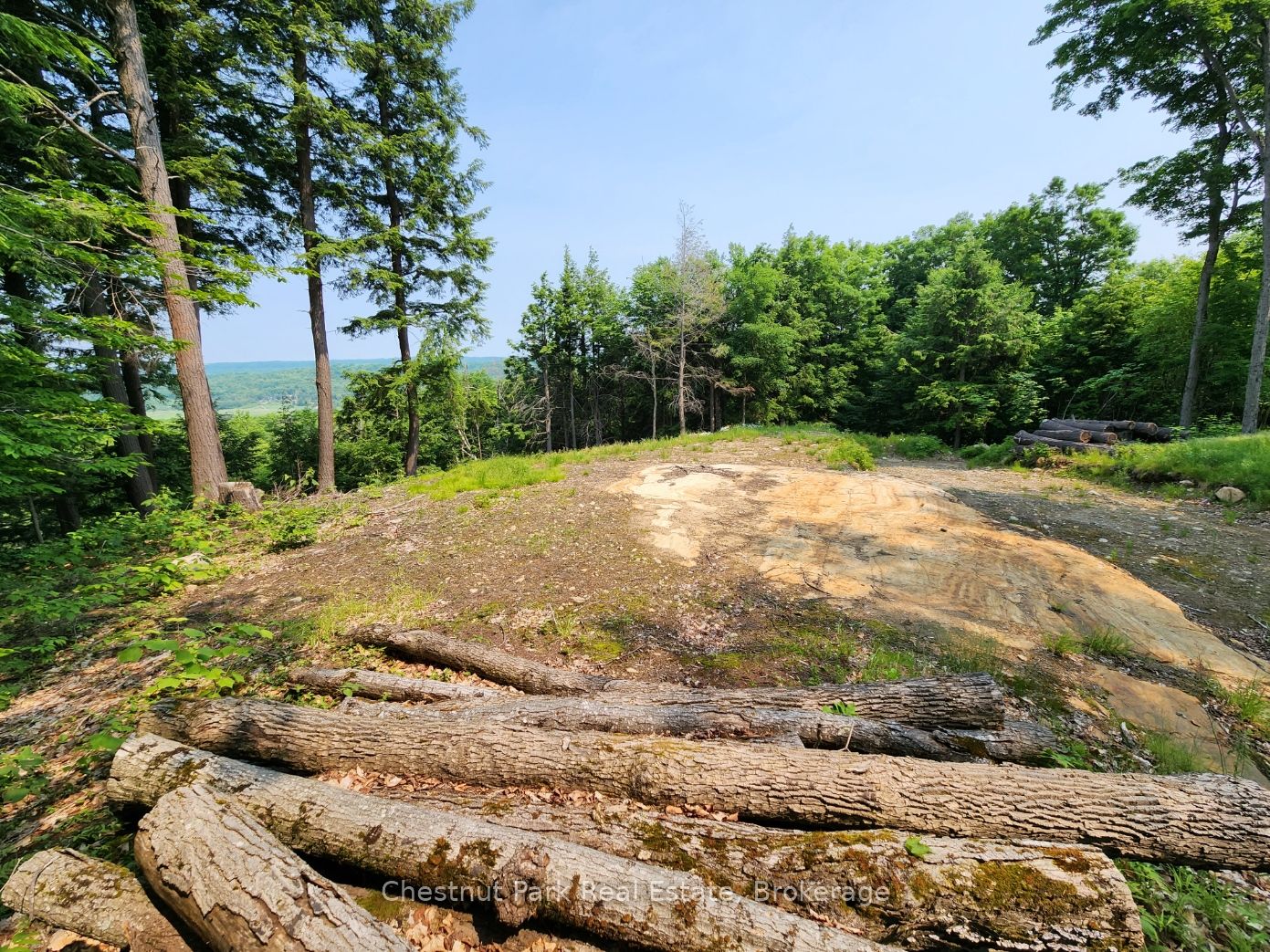 19 Old Hemlock Trail Property Photo 10