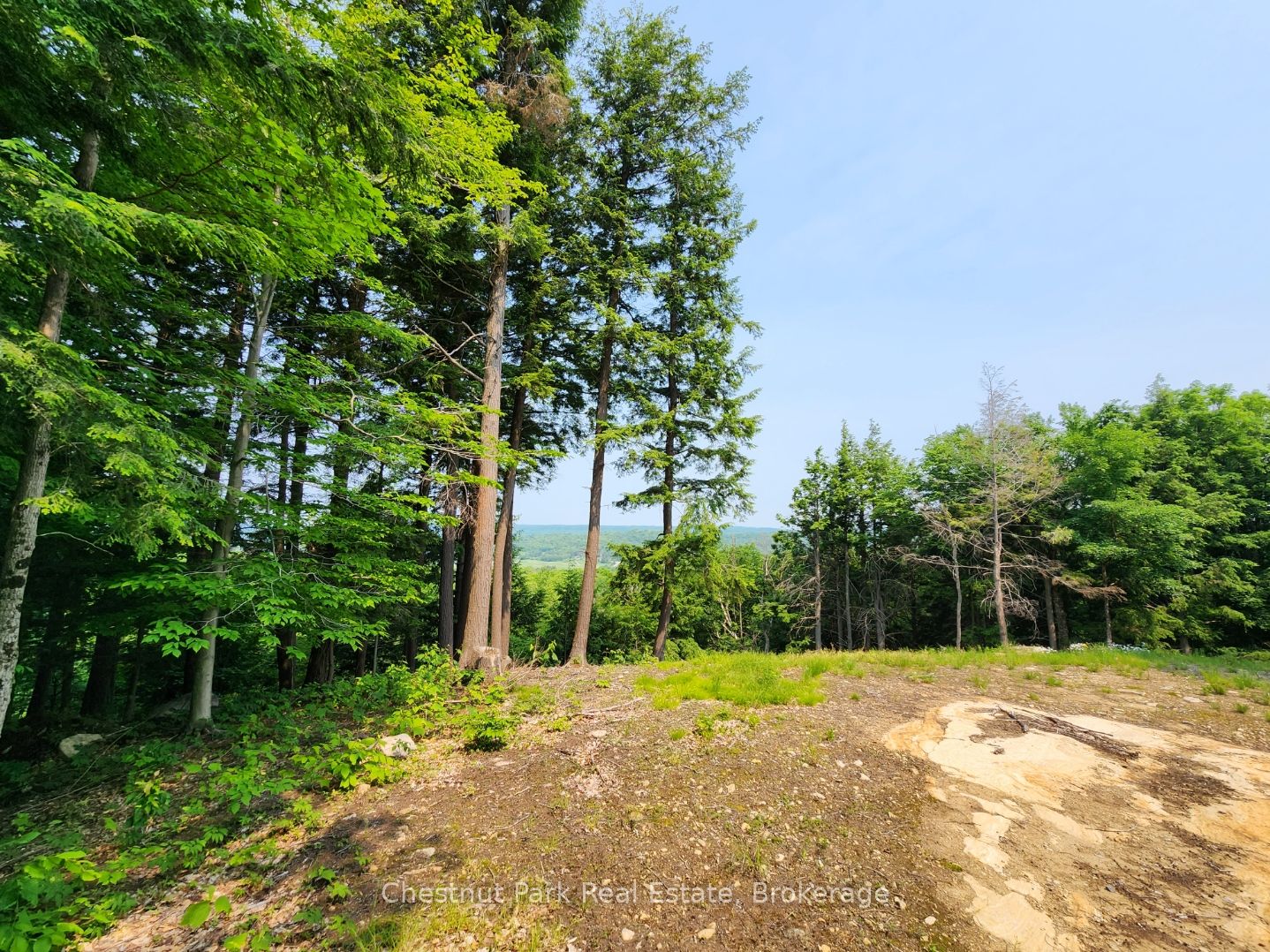 19 Old Hemlock Trail Property Photo 11