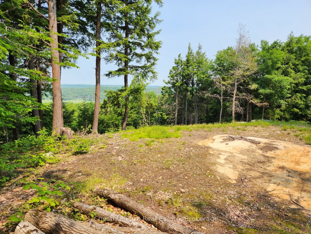 19 Old Hemlock Trail Property Photo 12