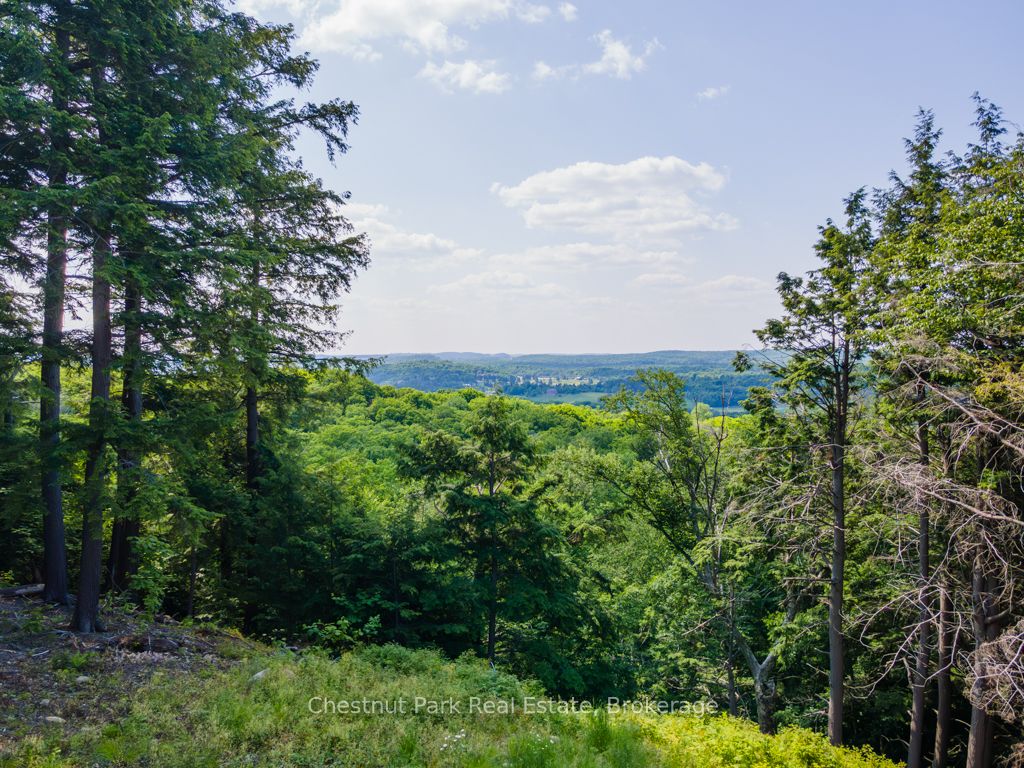 19 Old Hemlock Trail Property Photo 15